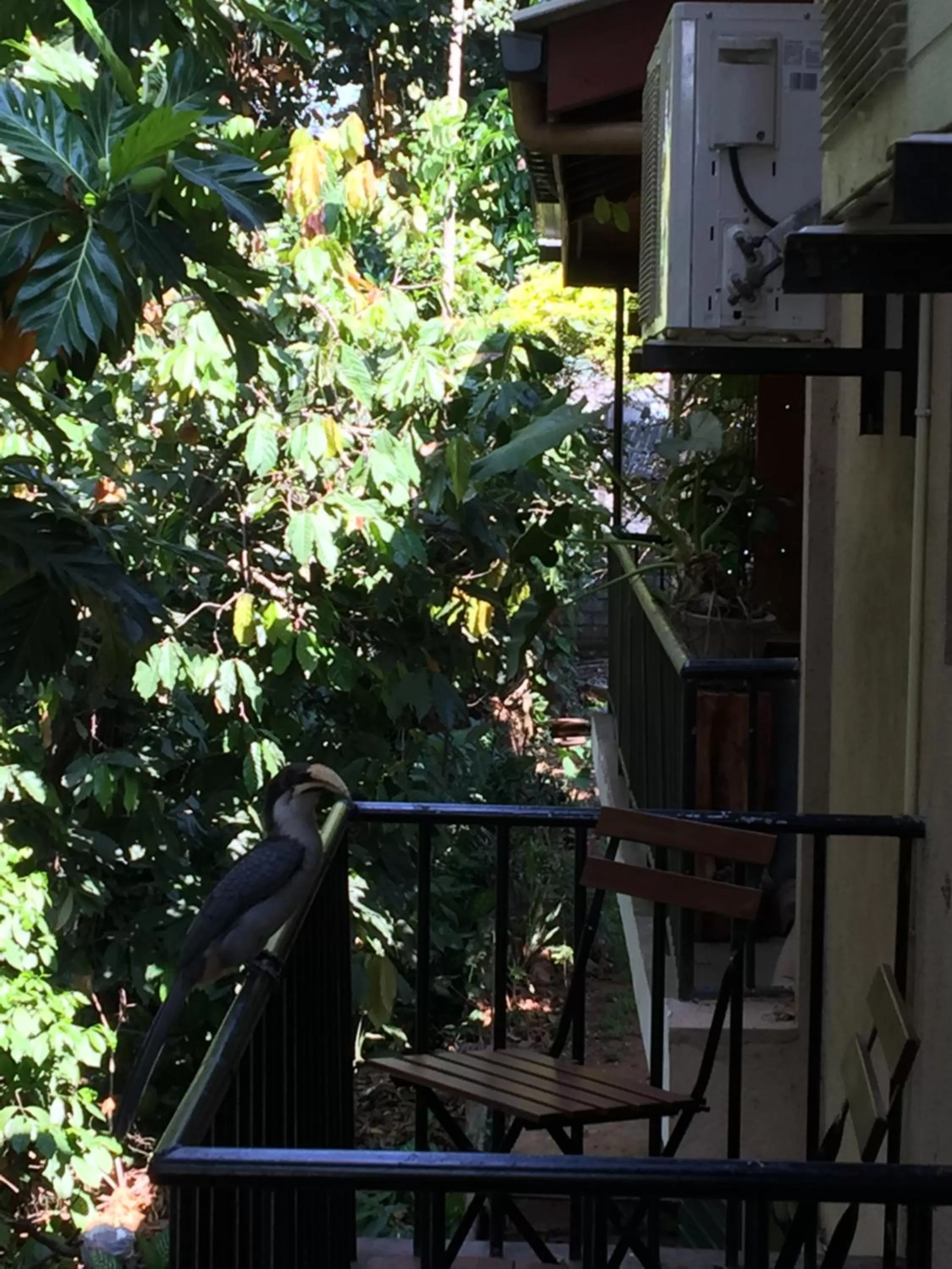 Balcony/Terrace in Veraima Kandy