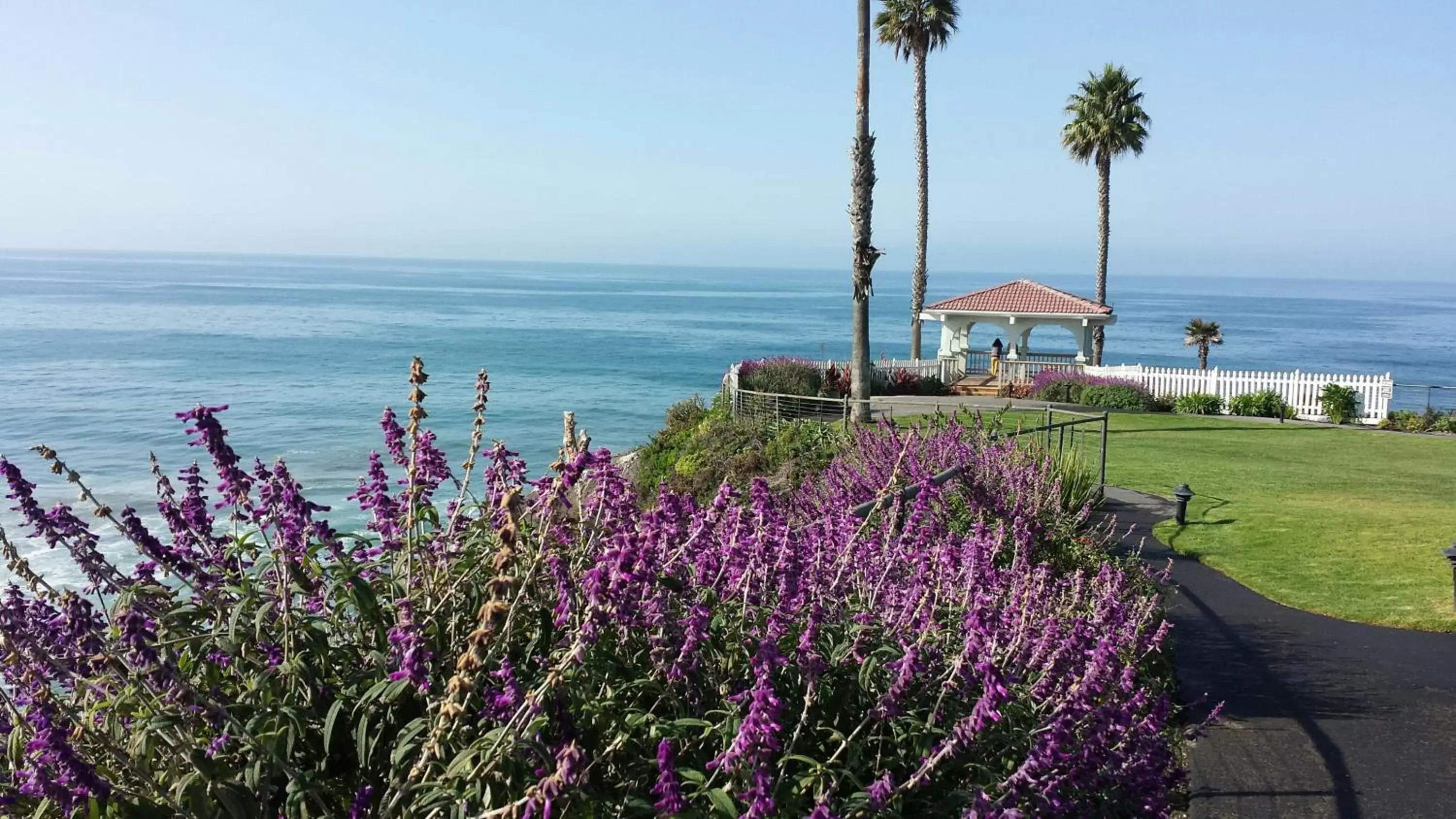 Sea view in Shore Cliff Hotel