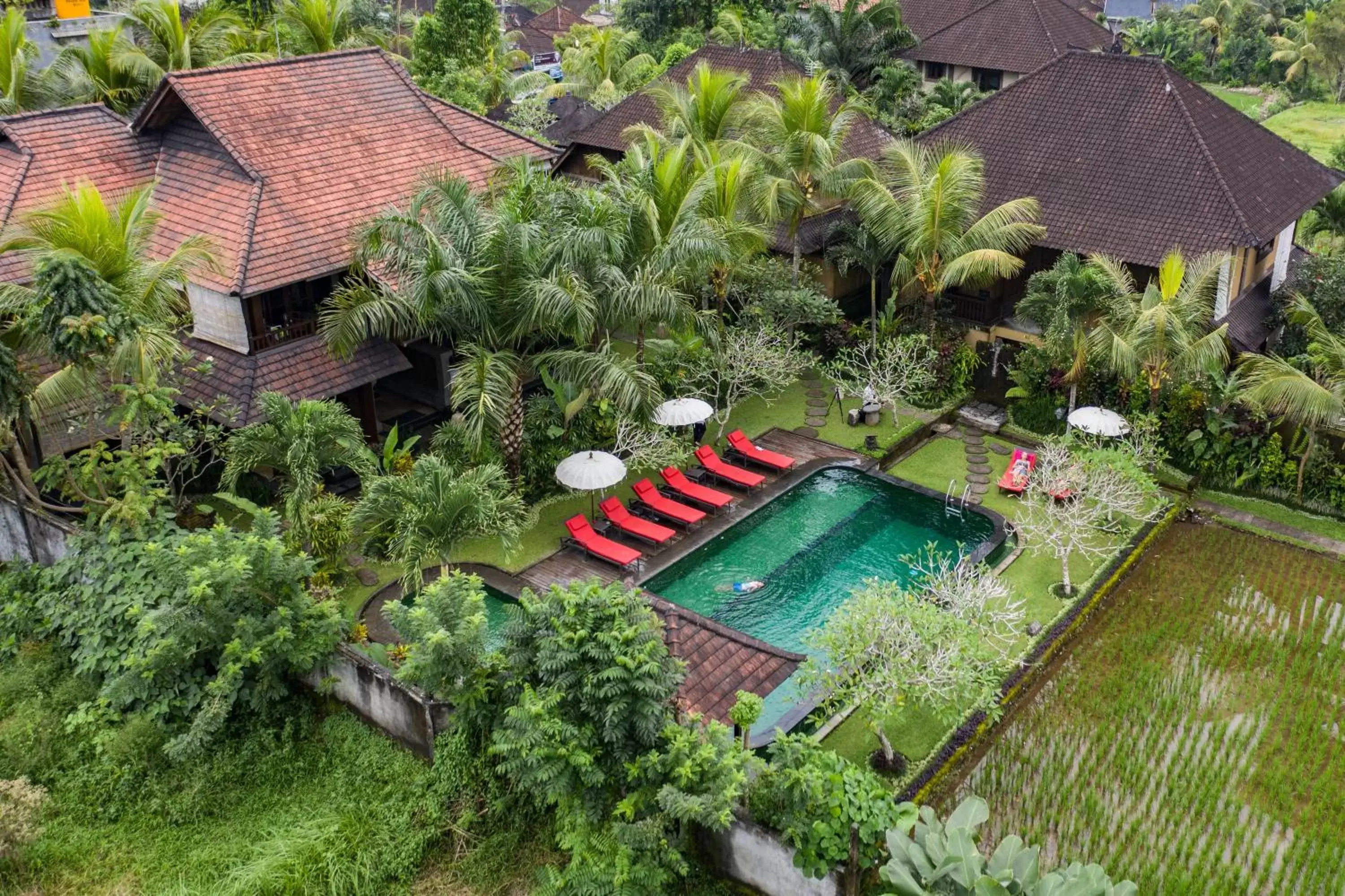 Swimming pool, Bird's-eye View in Bliss Ubud Spa Resort