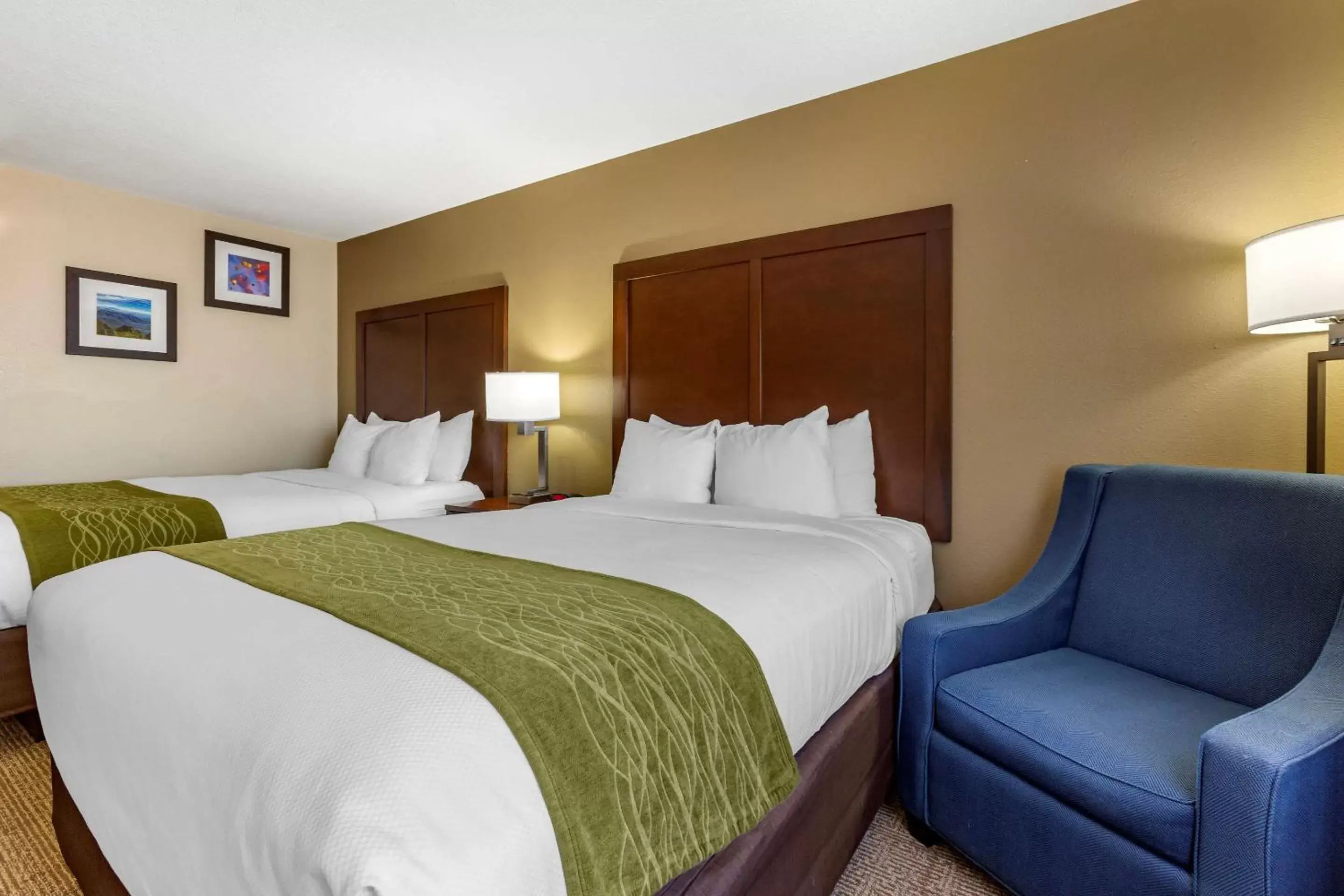 Photo of the whole room, Bed in Comfort Inn & Suites Alameda at Albuquerque Balloon Fiesta Park Photo of the whole room, Bed in Comfort Inn & Suites Alameda at Albuquerque Balloon Fiesta Park