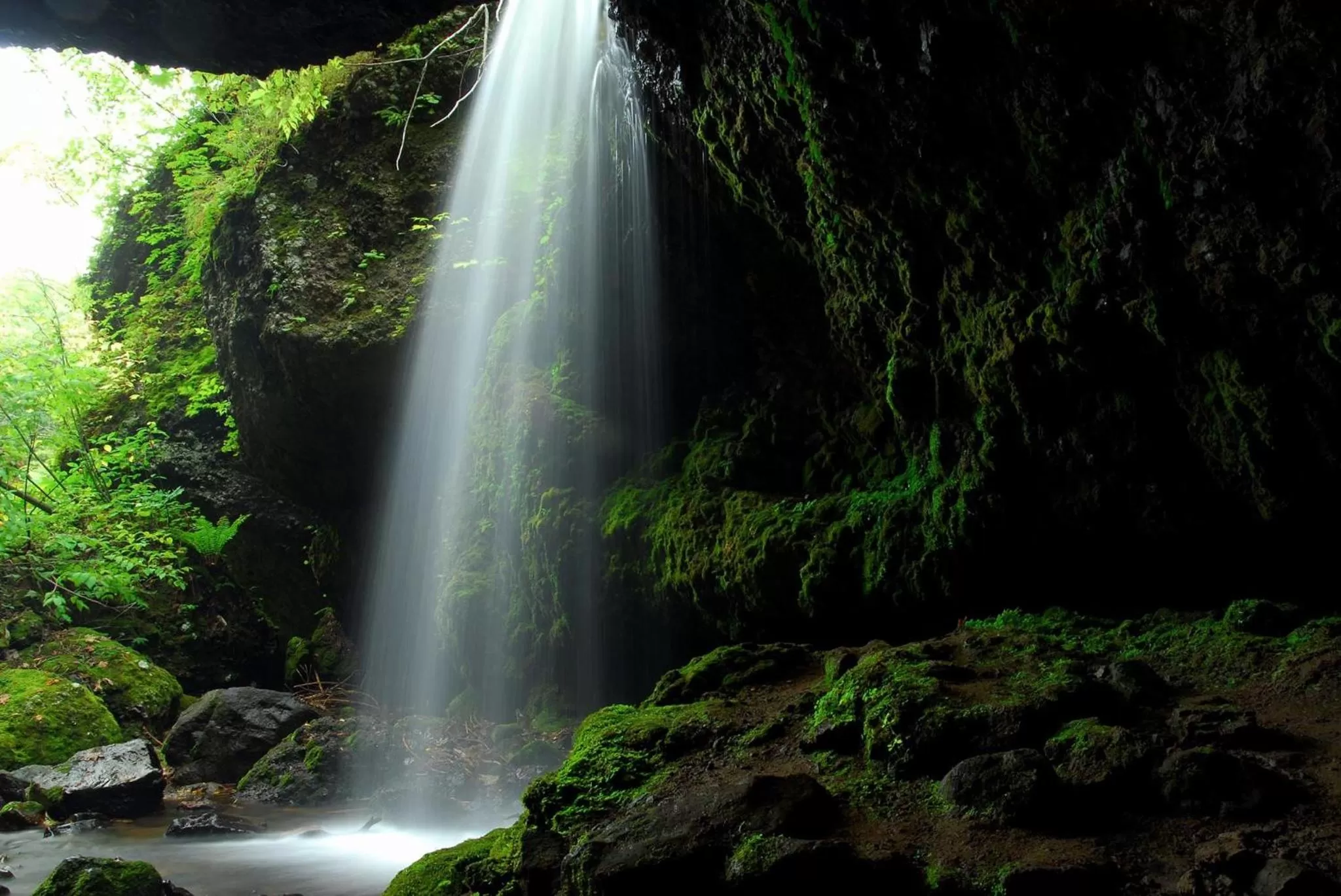 Spring in Hotel Nord Otaru