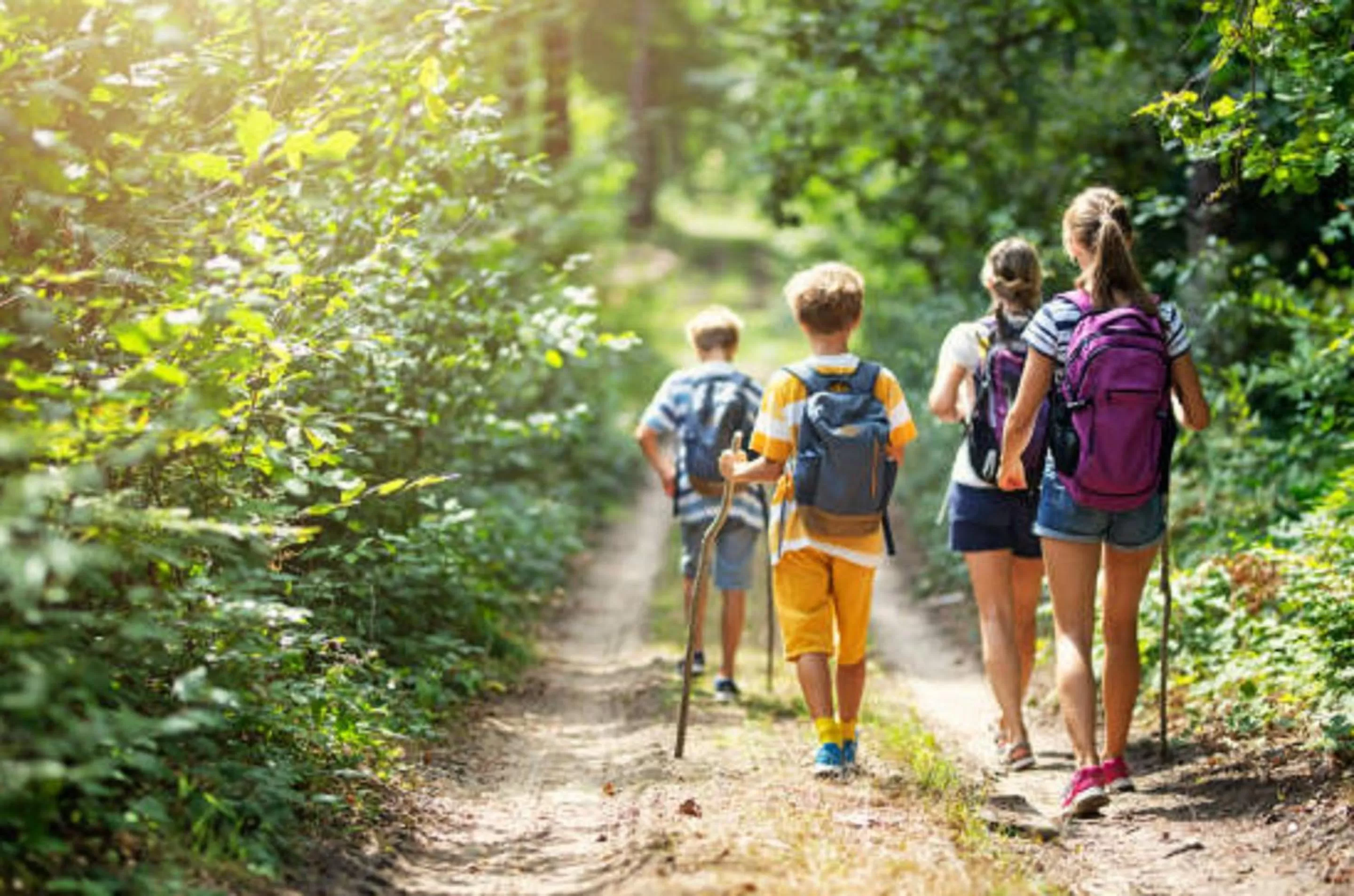 Hiking in Langstone Cliff Hotel