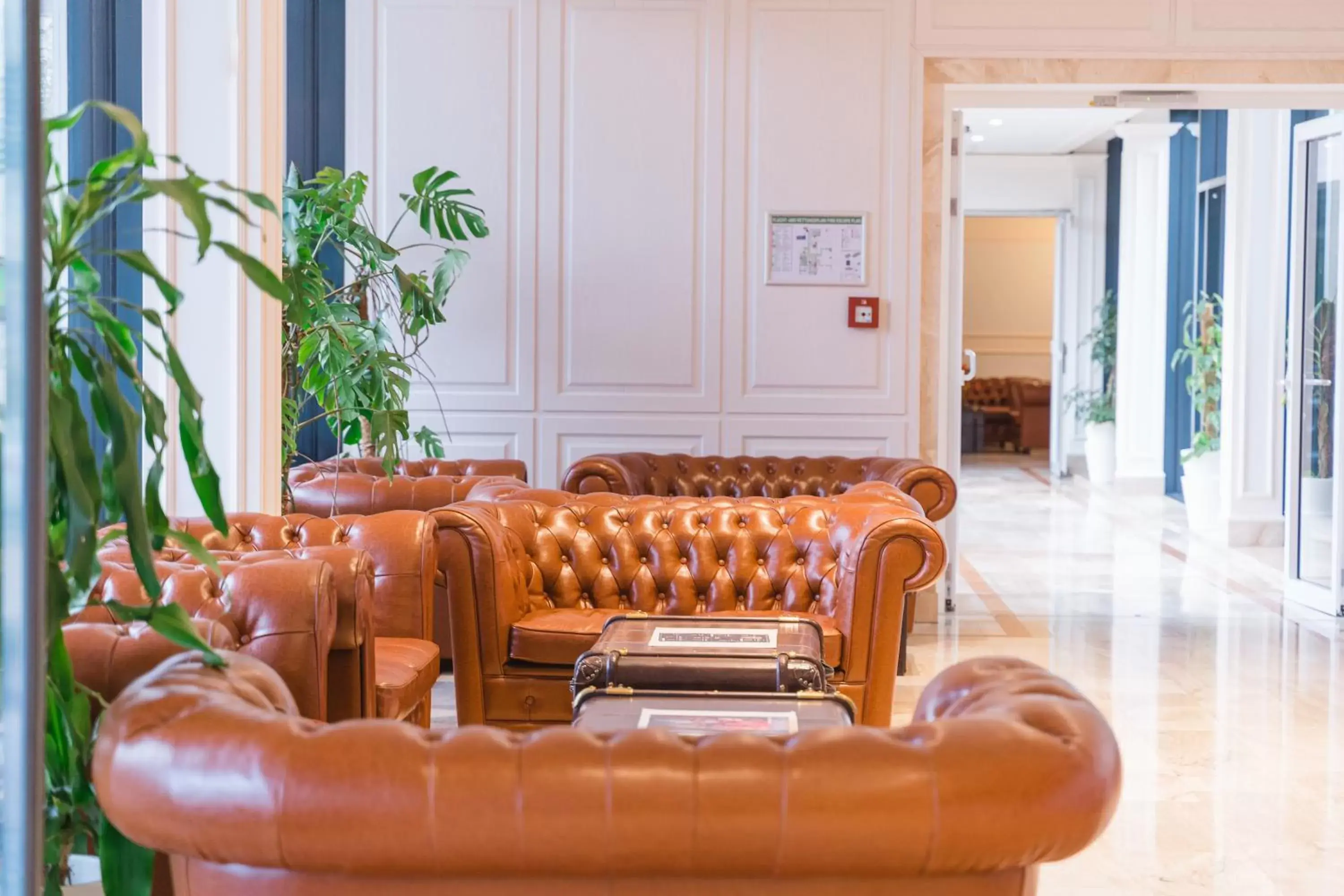 Lobby or reception, Lobby/Reception in Grand Hotel Palladium