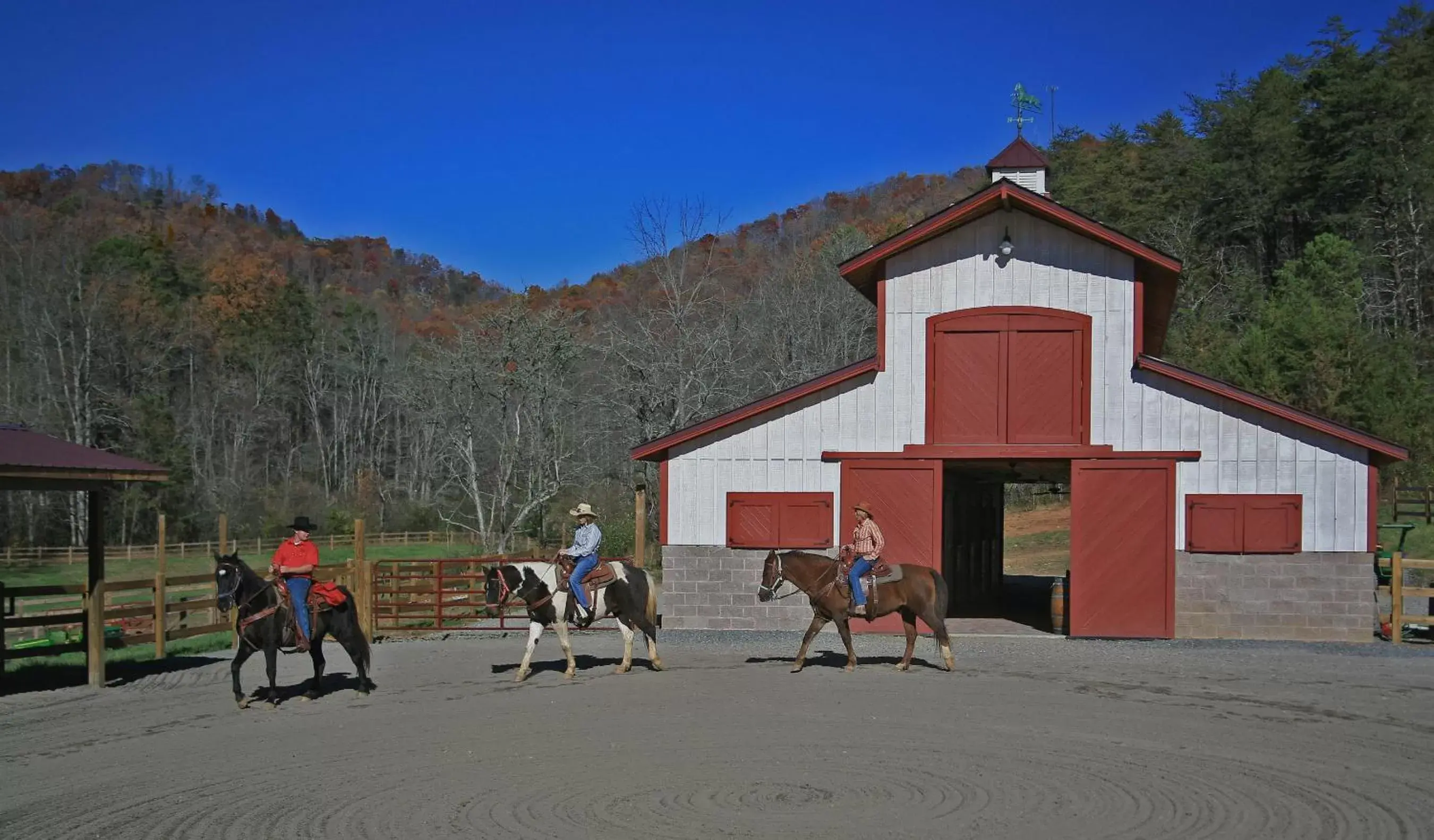 Horse-riding in Brasstown Valley Resort & Spa