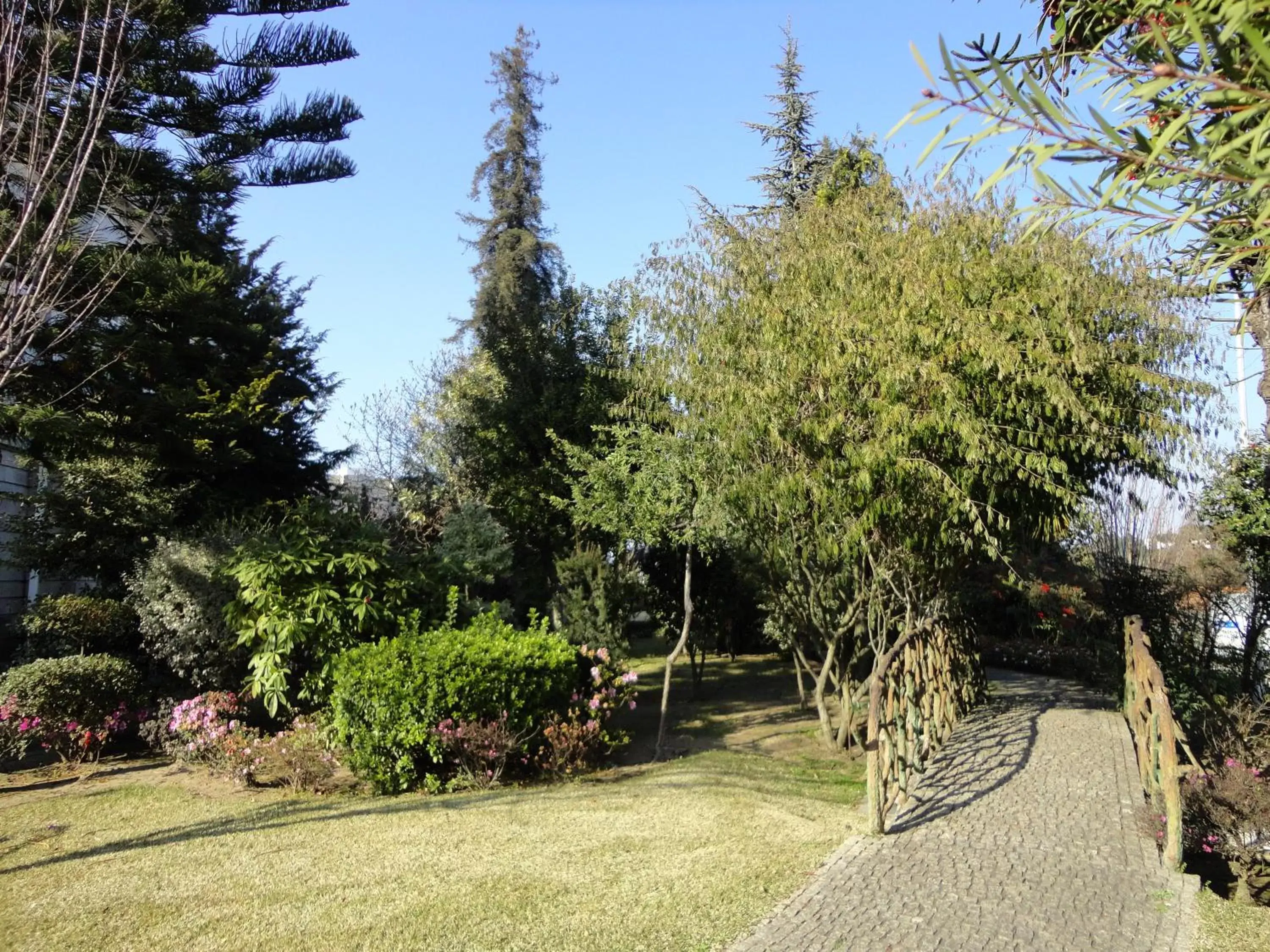Garden in Hotel Villa Garden Braga