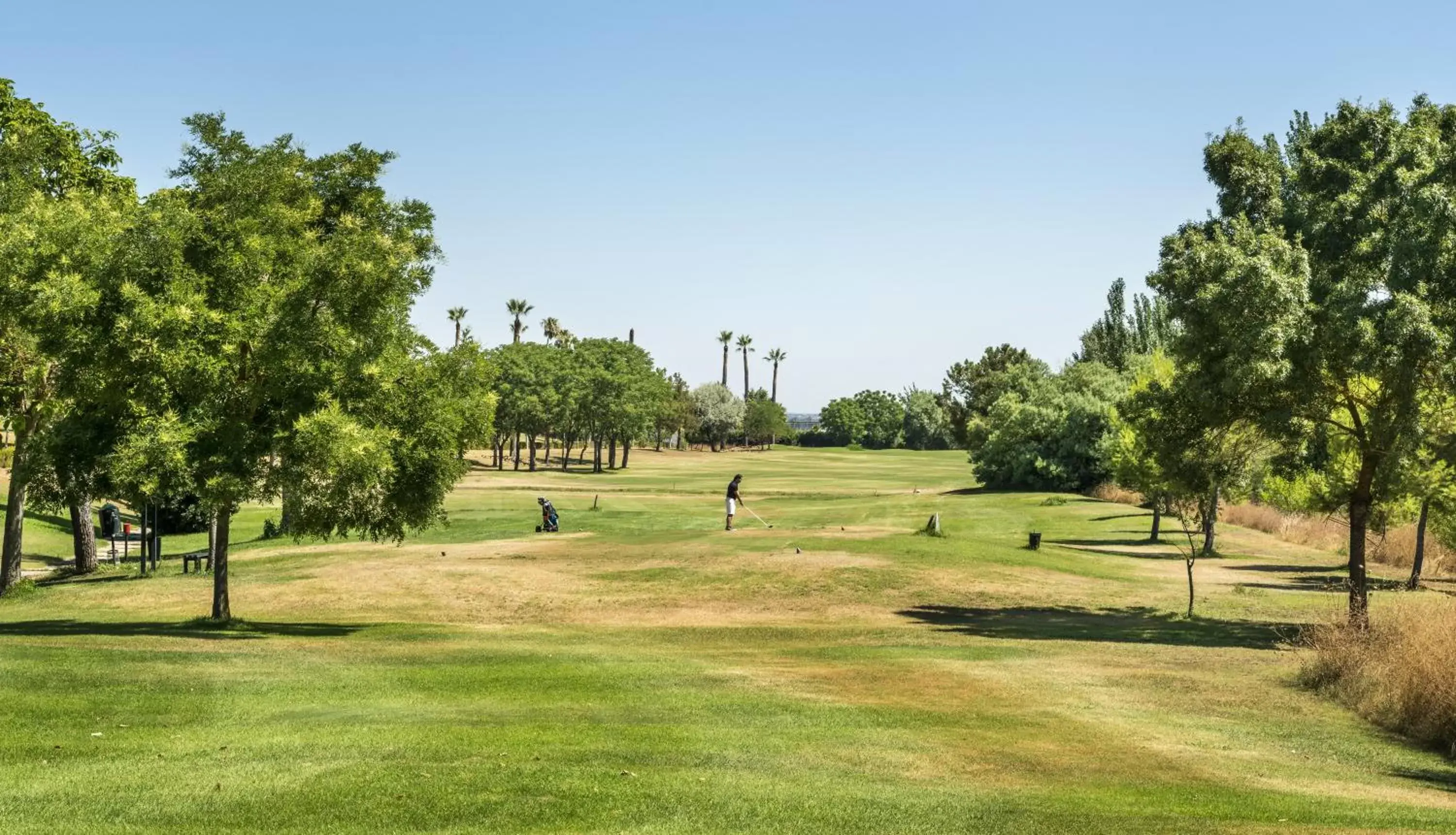 Golfcourse, Garden in Ilunion Golf Badajoz