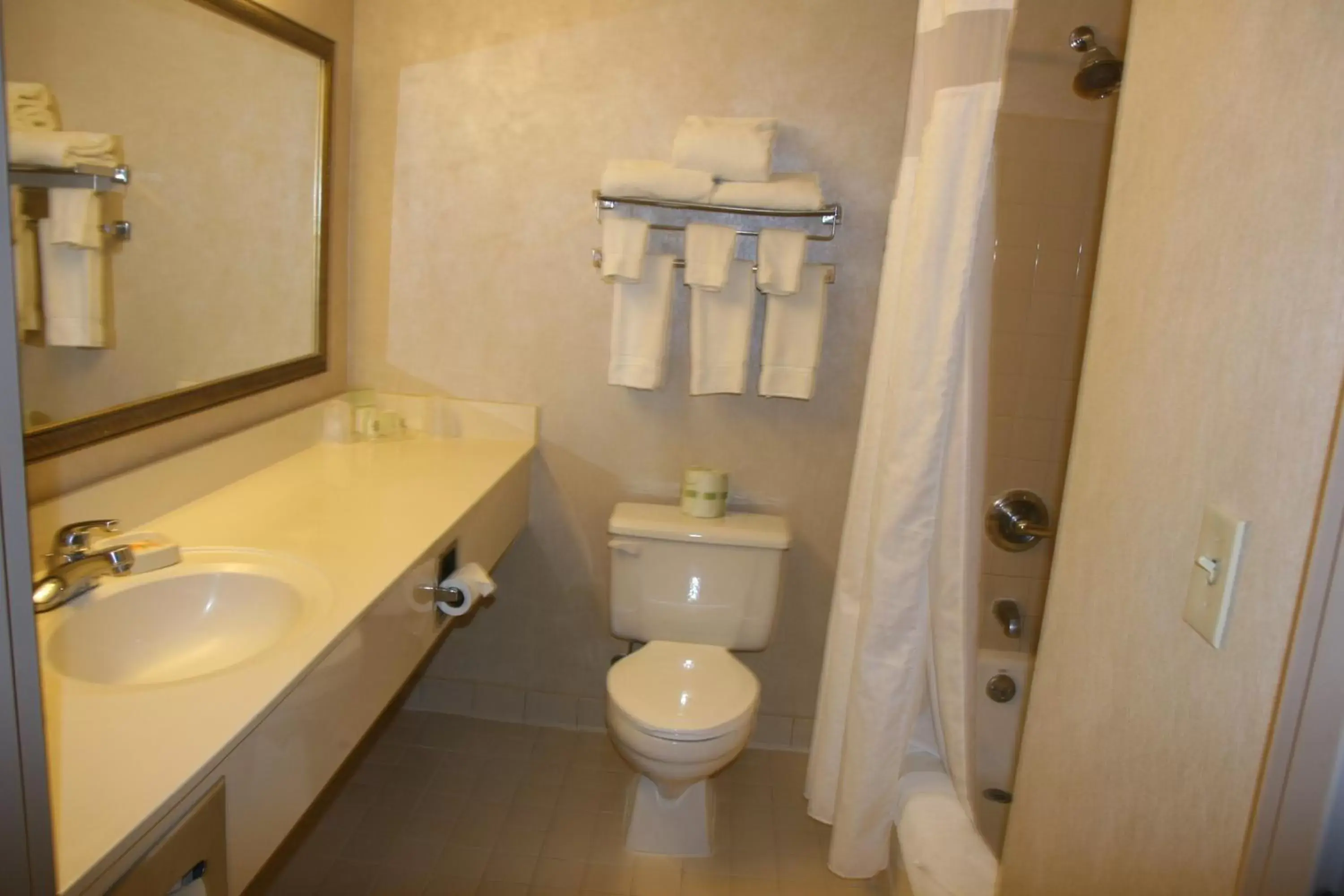 Bathroom in Holiday Inn Budd Lake - Rockaway Area, an IHG Hotel