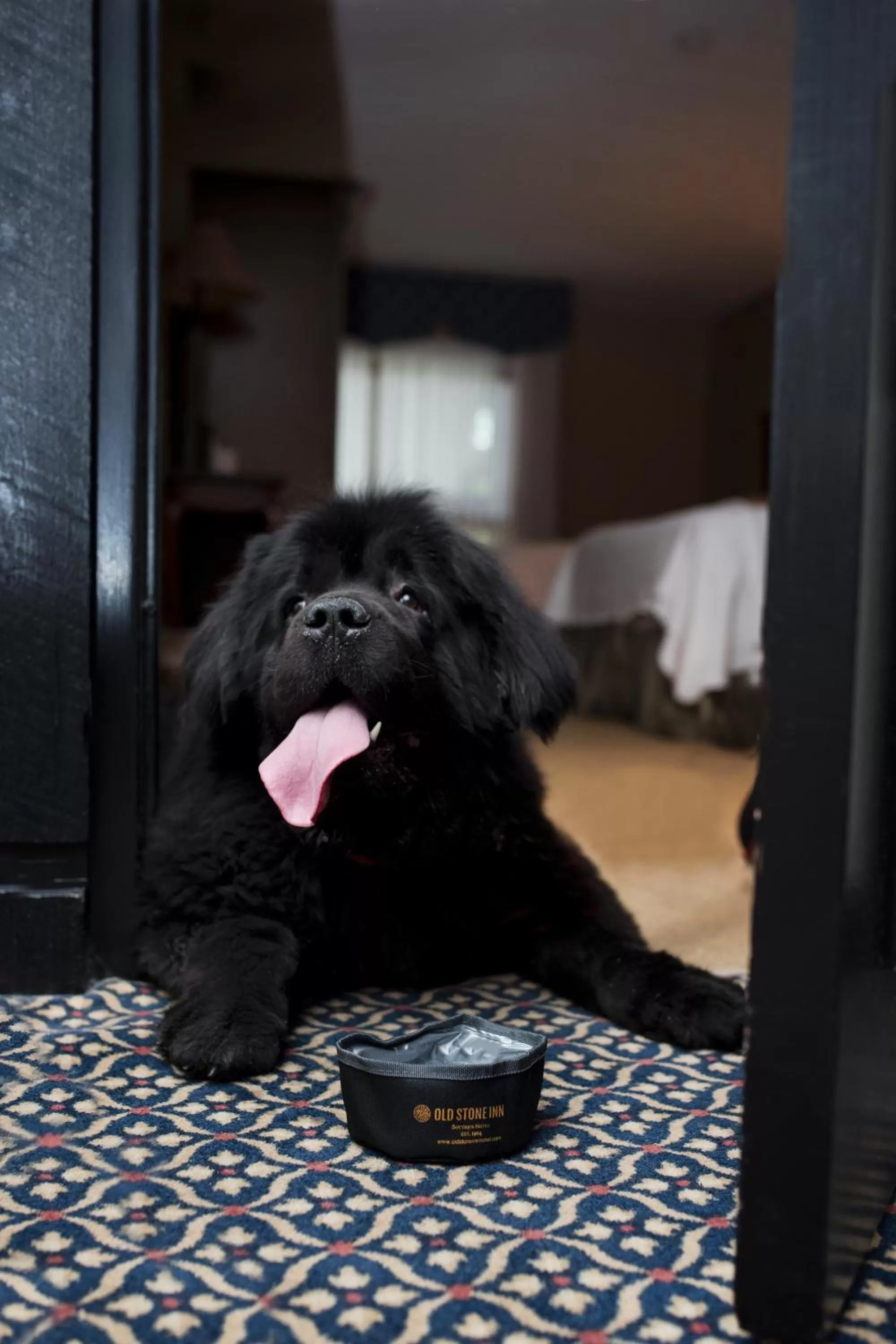 Pets in Old Stone Inn Boutique Hotel