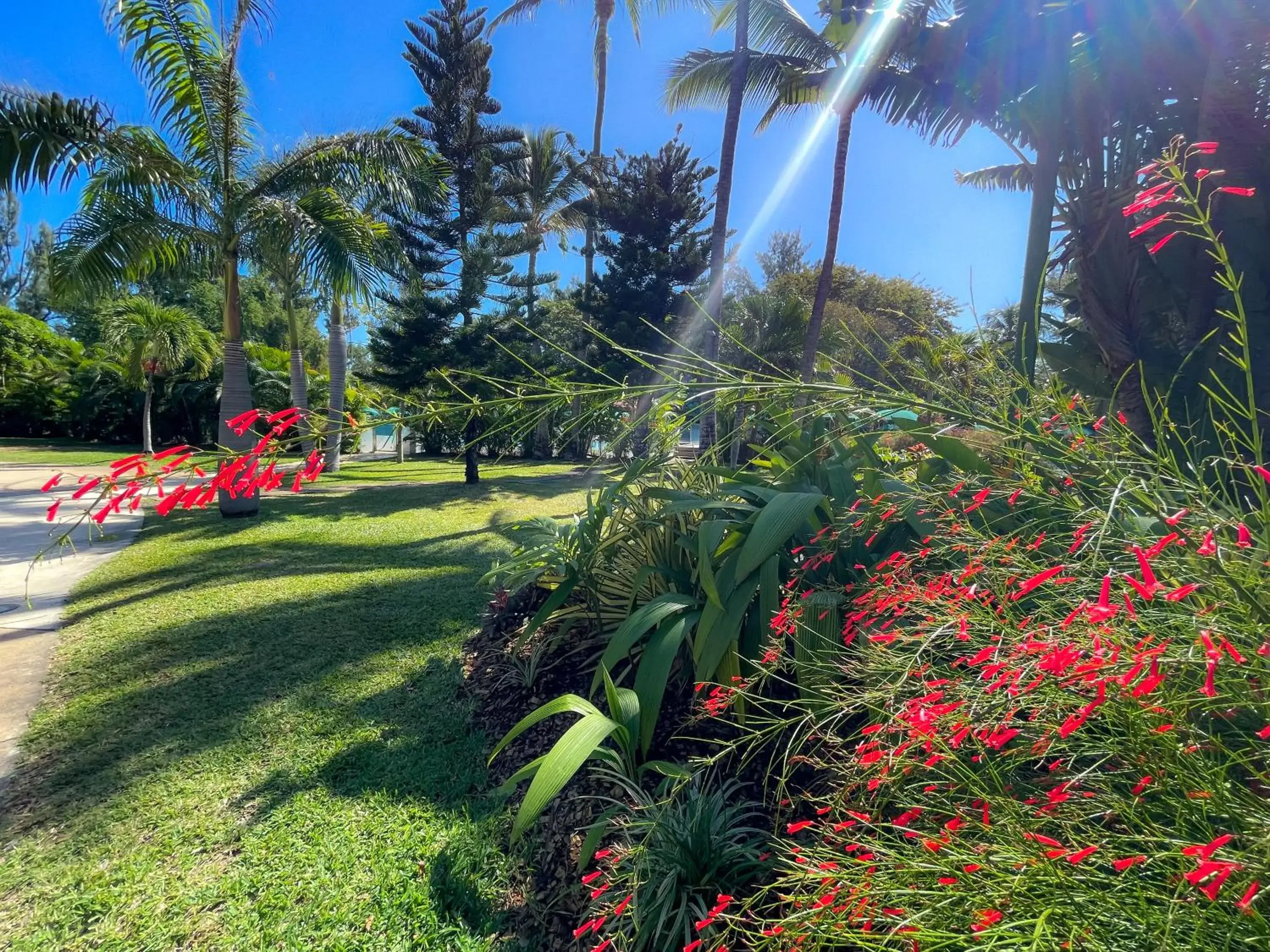 Garden in Relais de l’Hermitage Saint-Gilles