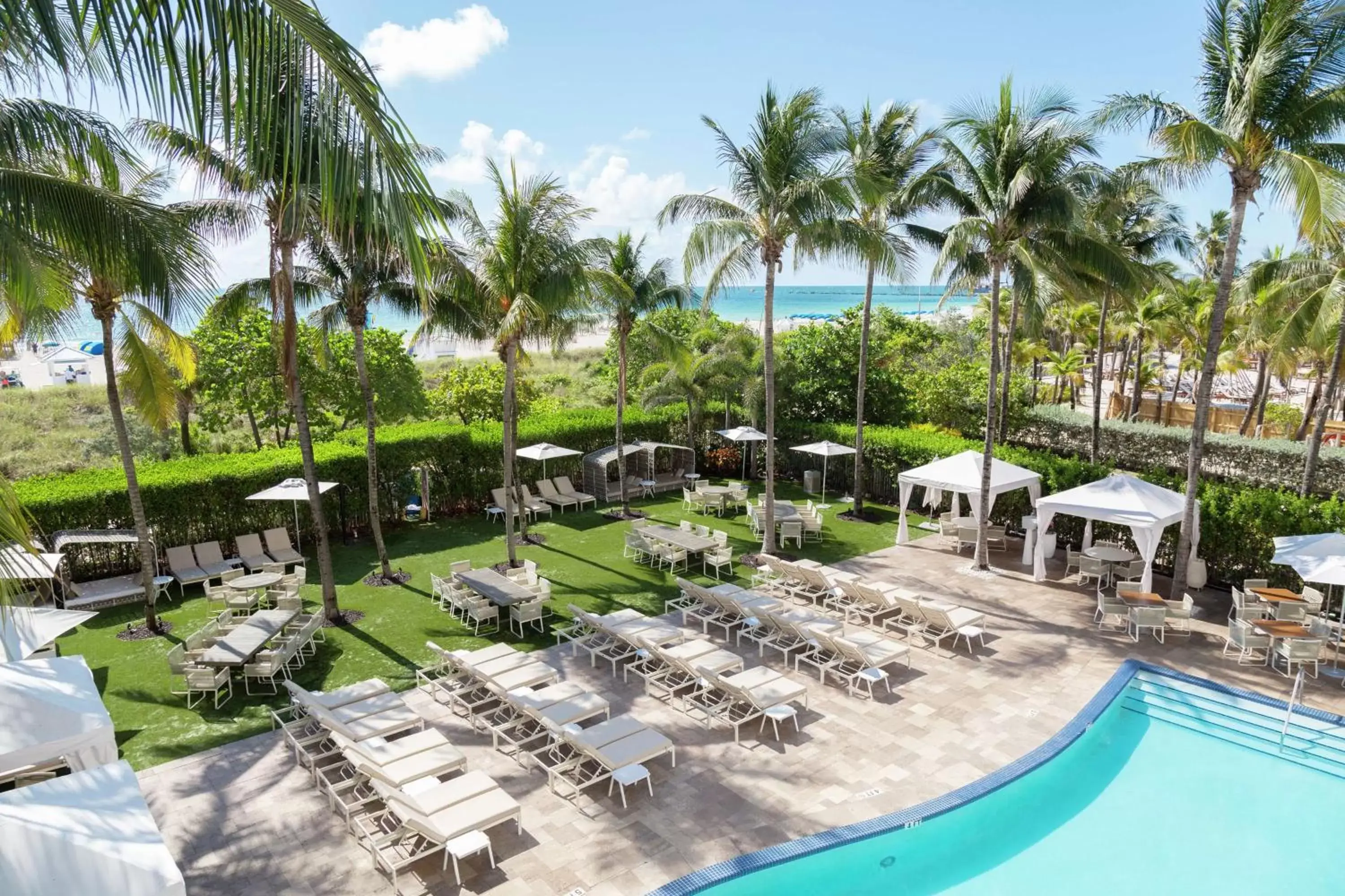 Pool View in Hilton Bentley Miami/South Beach