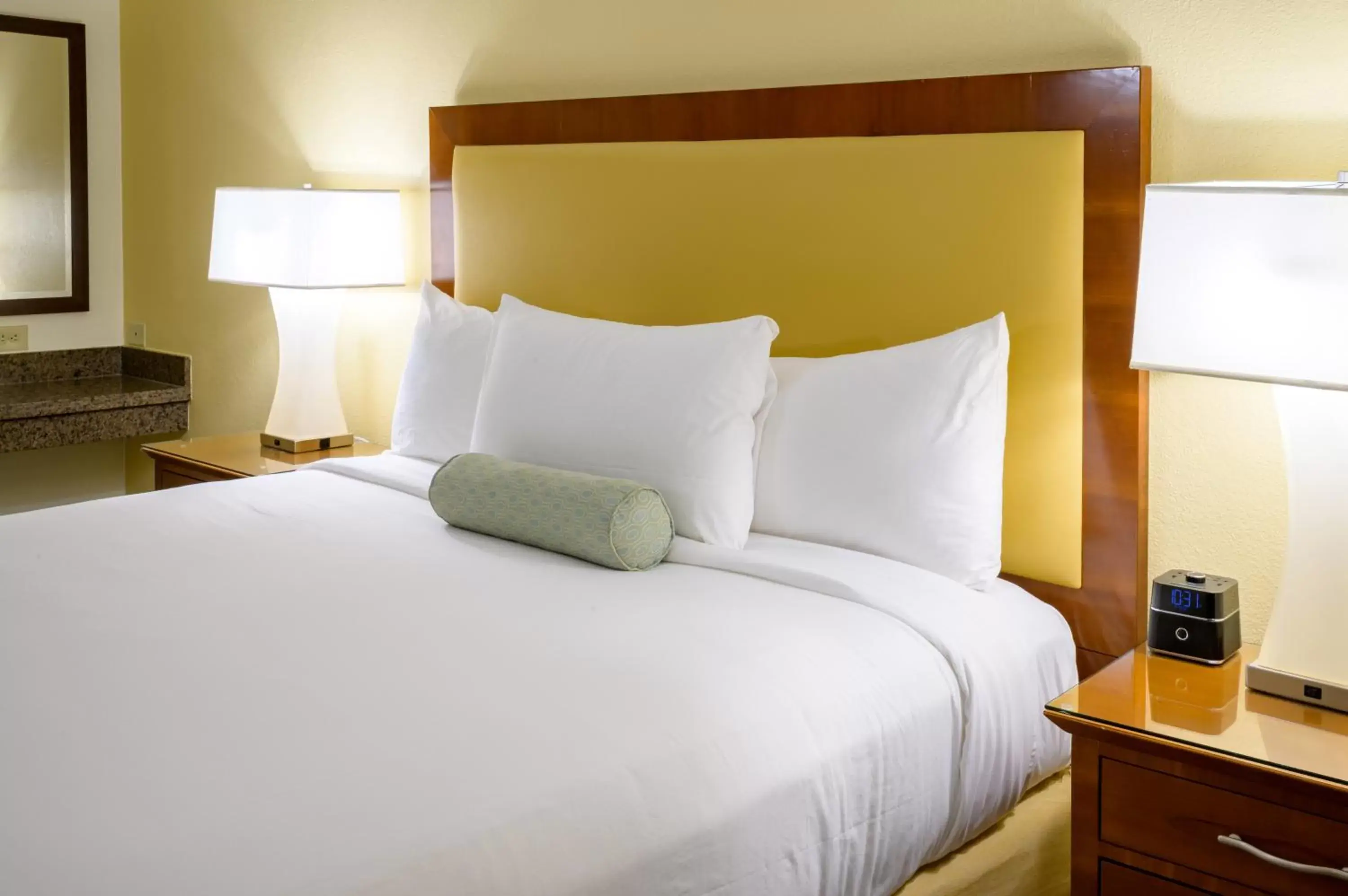Preferred King - single occupancy in Airtel Plaza Hotel