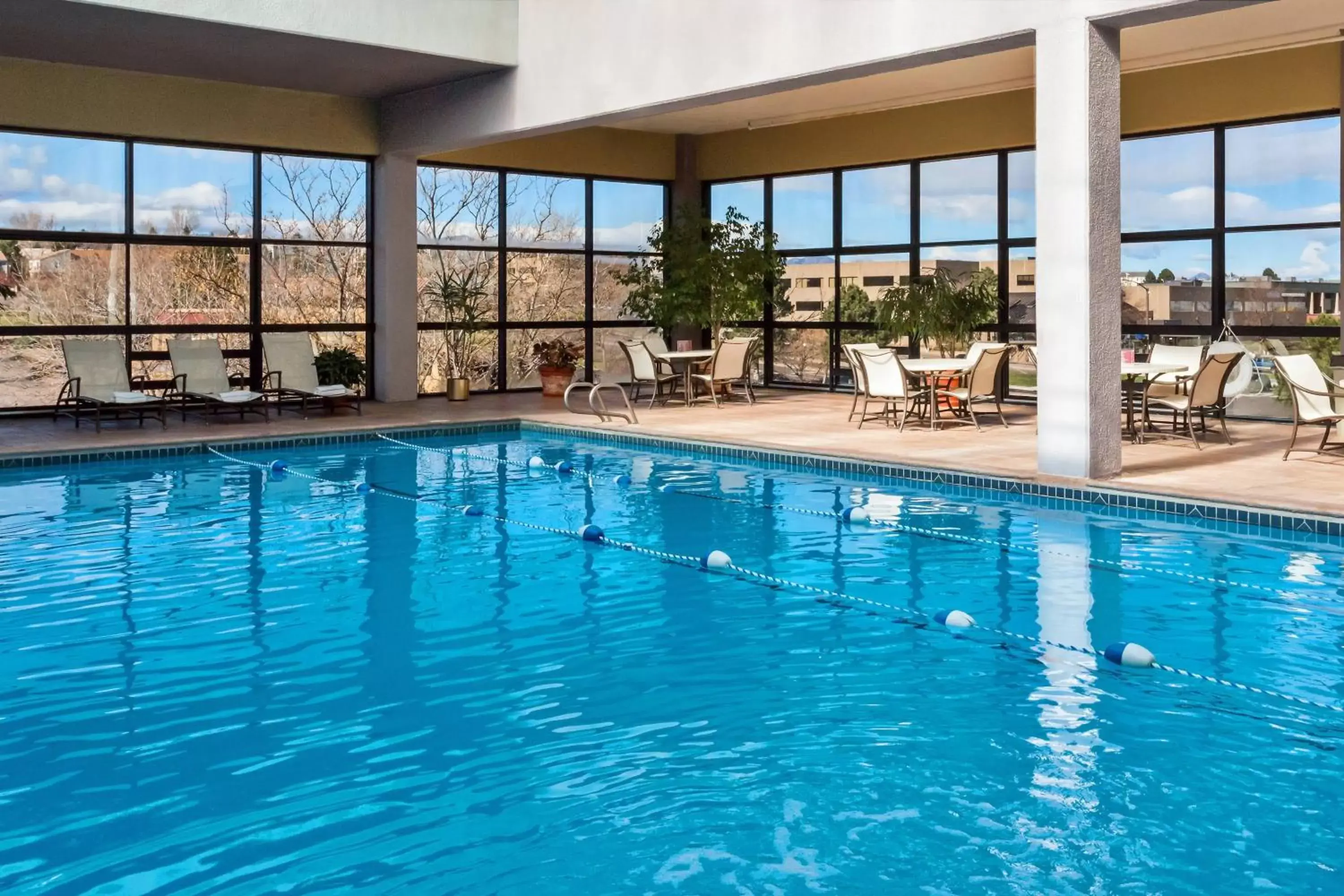 Swimming Pool in Sheraton Denver West Hotel