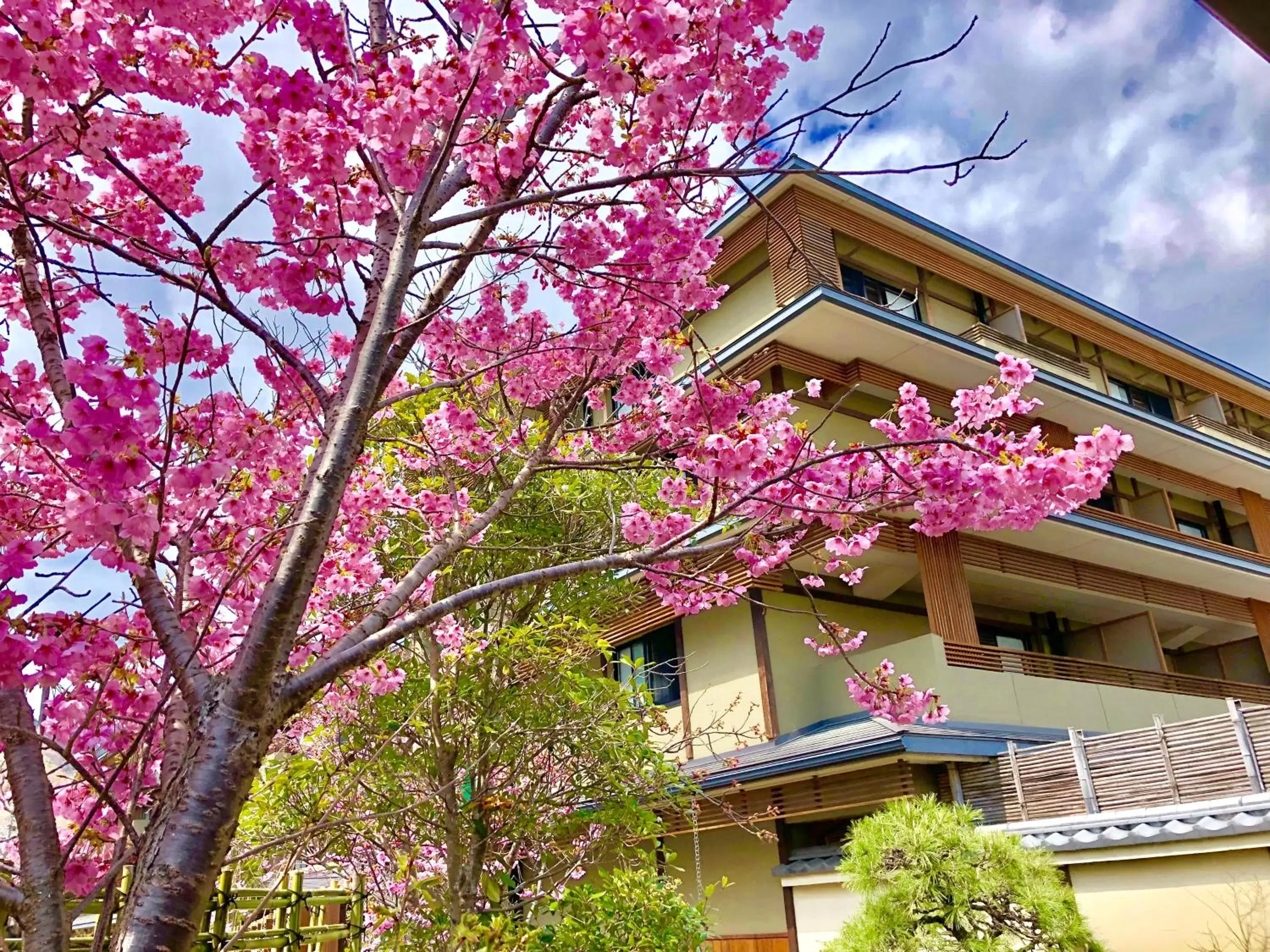 Property Building in Kadensho, Arashiyama Onsen, Kyoto - Kyoritsu Resort