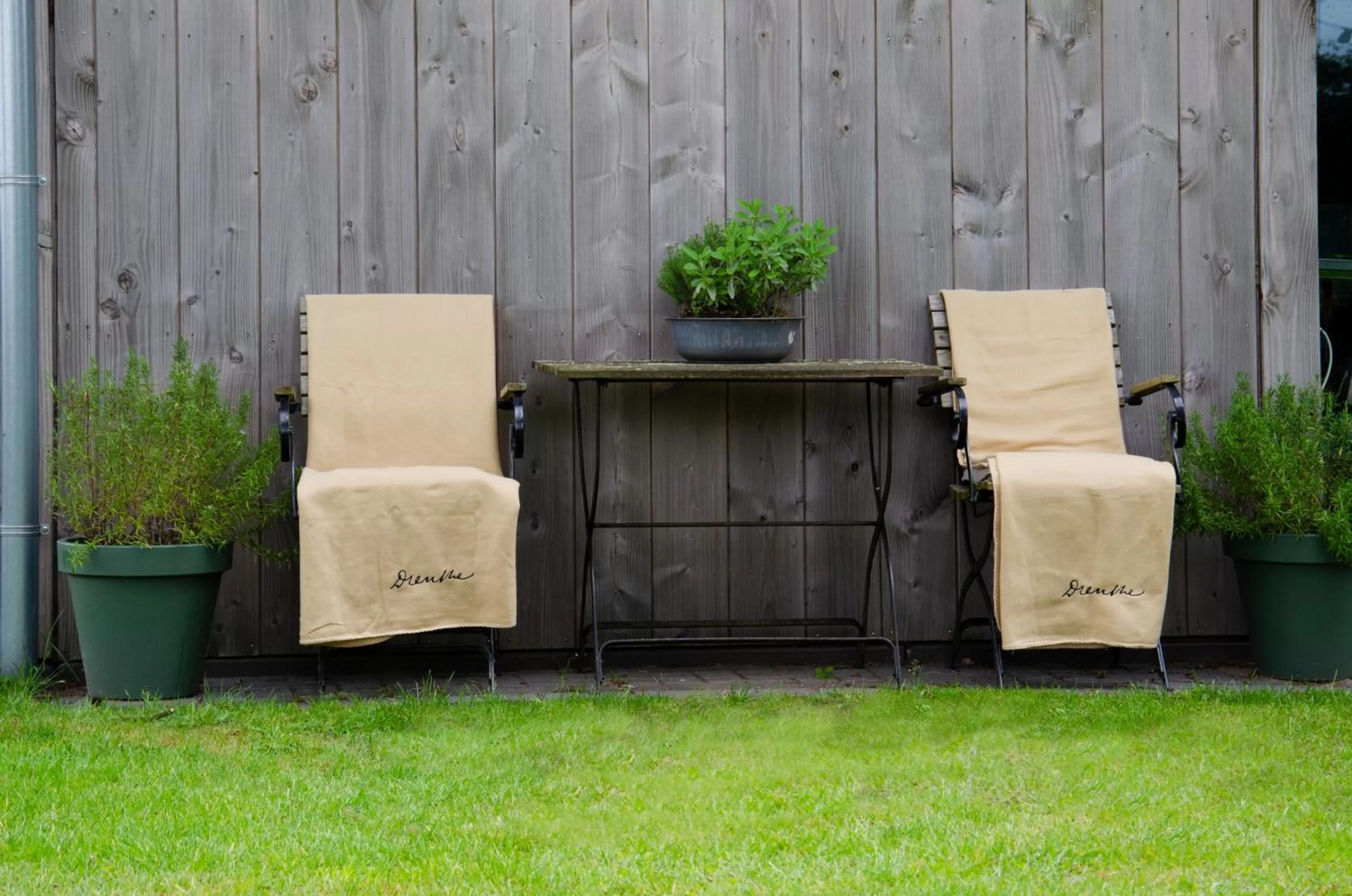 Garden in Bed and Breakfast Bedstay op 8