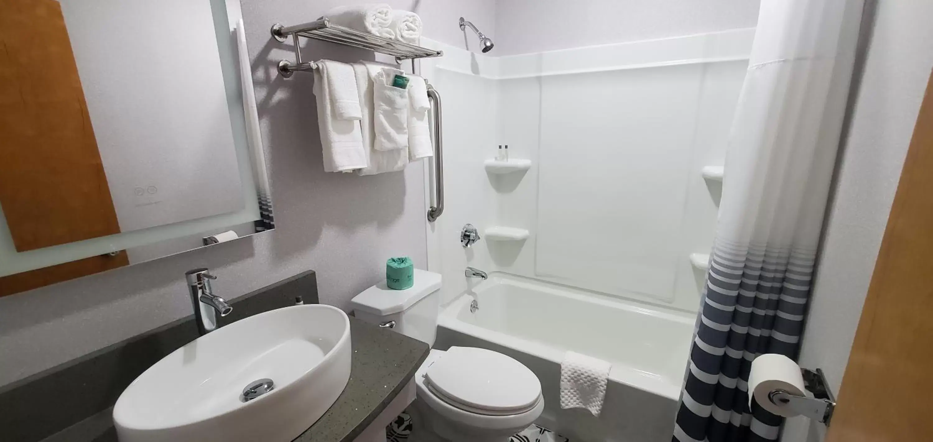 Bathroom in Ambassador Inn and Suites