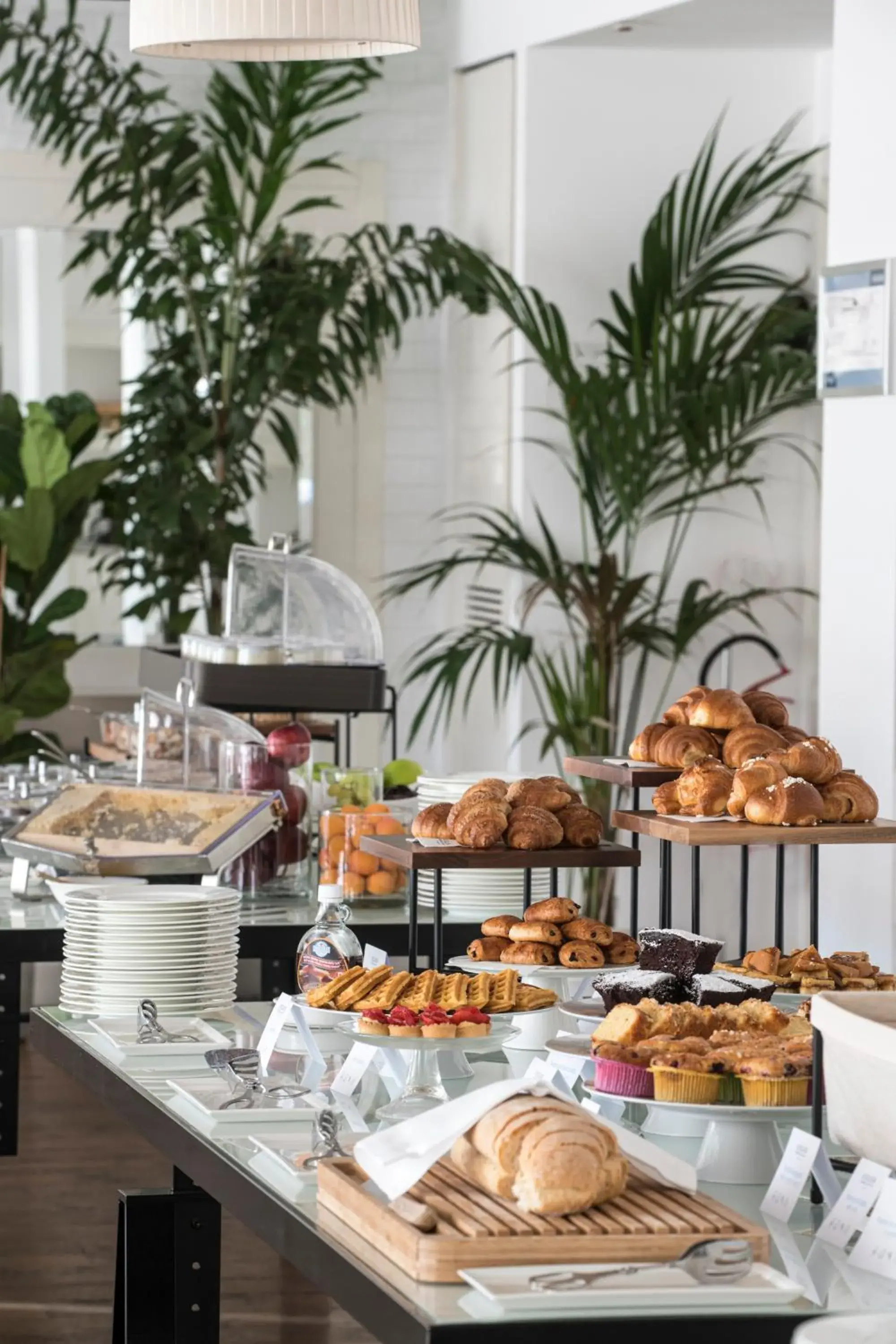 Breakfast in Hotel Excelsior