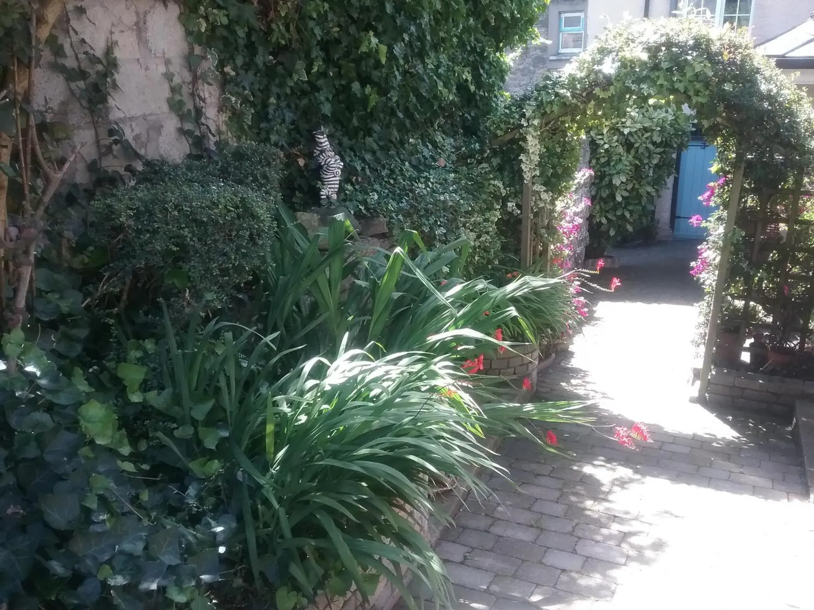 Patio, Garden in Ashleigh Guest House