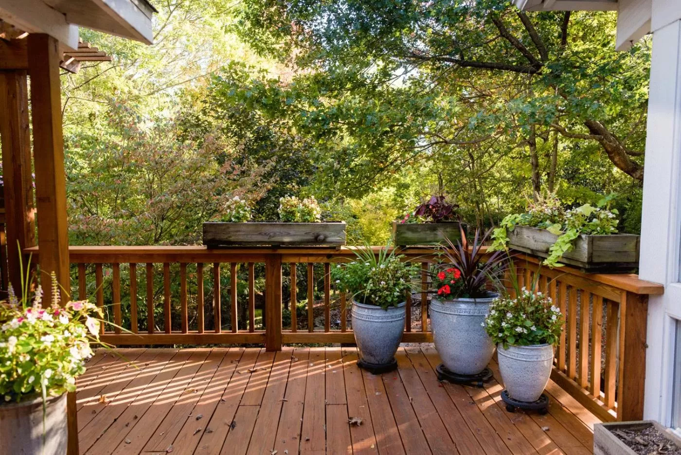 BBQ Facilities in Dickson Street Bed & Breakfast