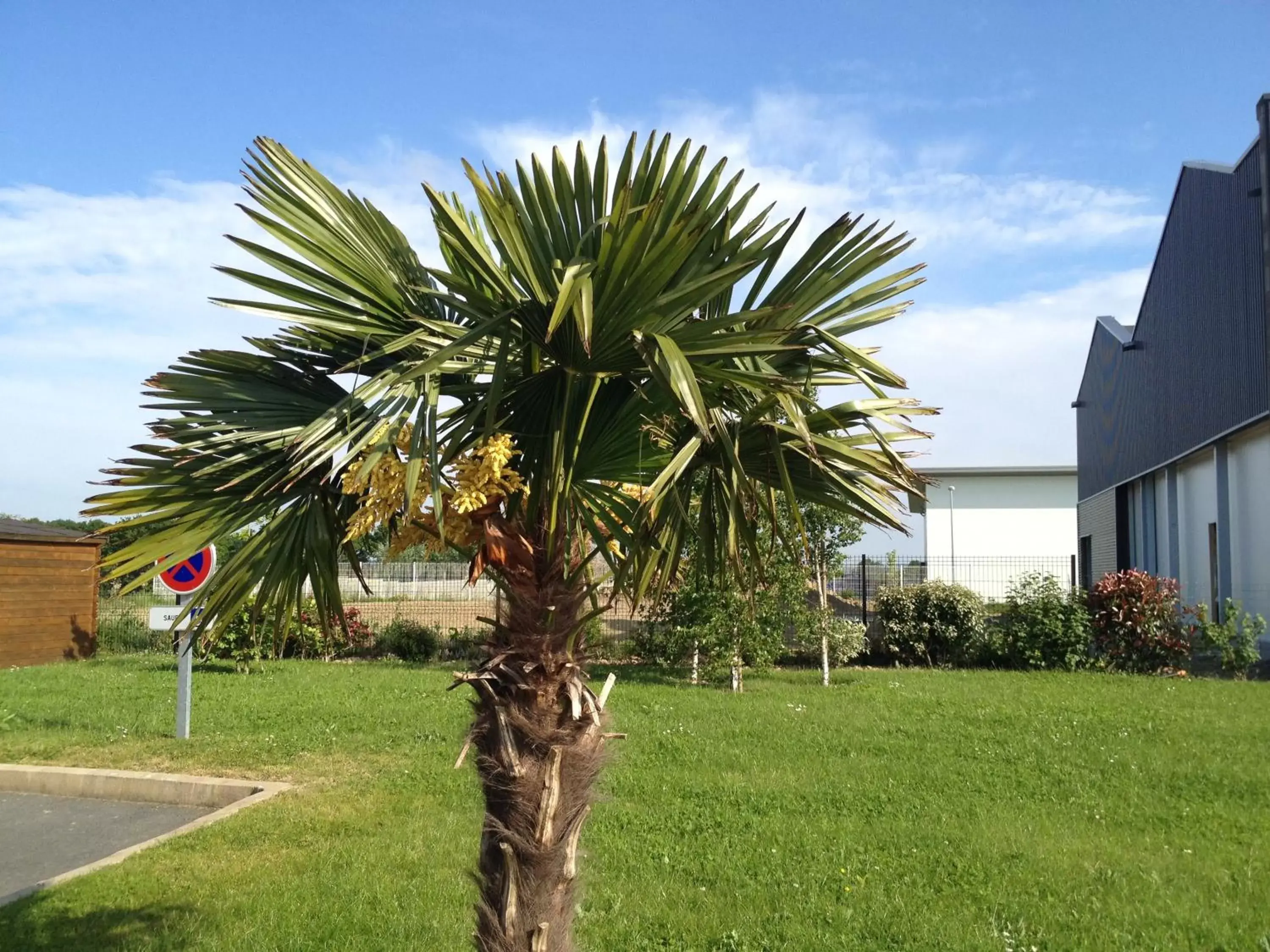 Garden in Kyriad Dol-de-Bretagne