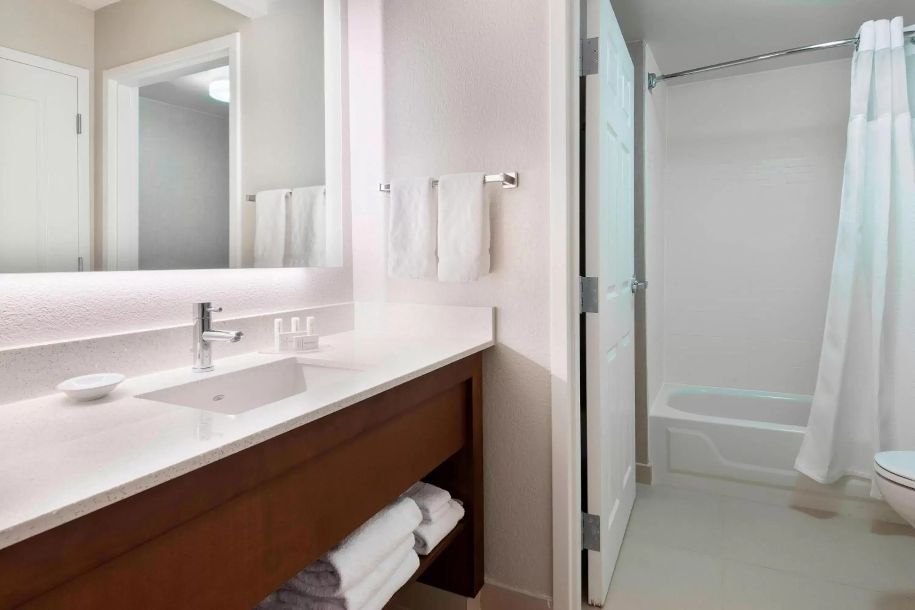 Bathroom in Residence Inn by Marriott Tampa at USF/Medical Center