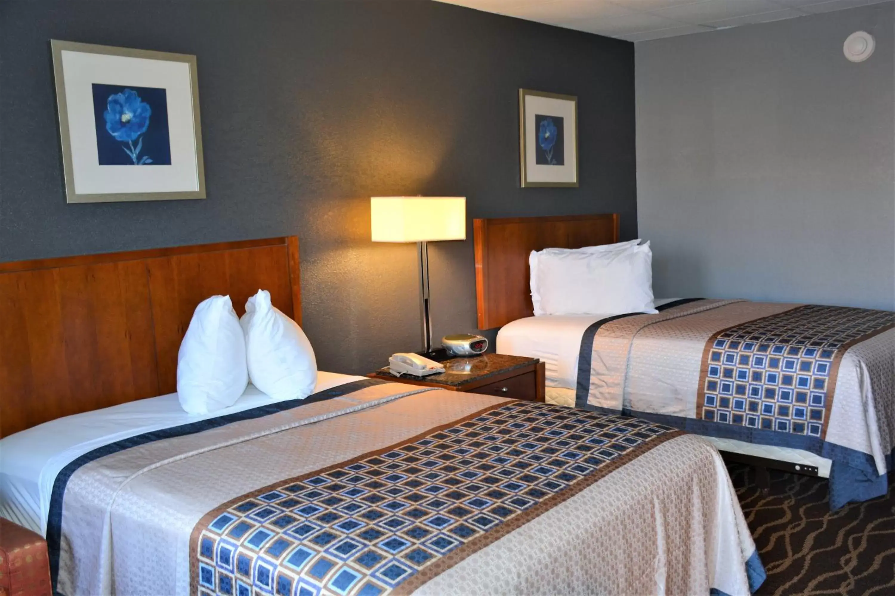 Bed in Travelodge by Wyndham Walterboro