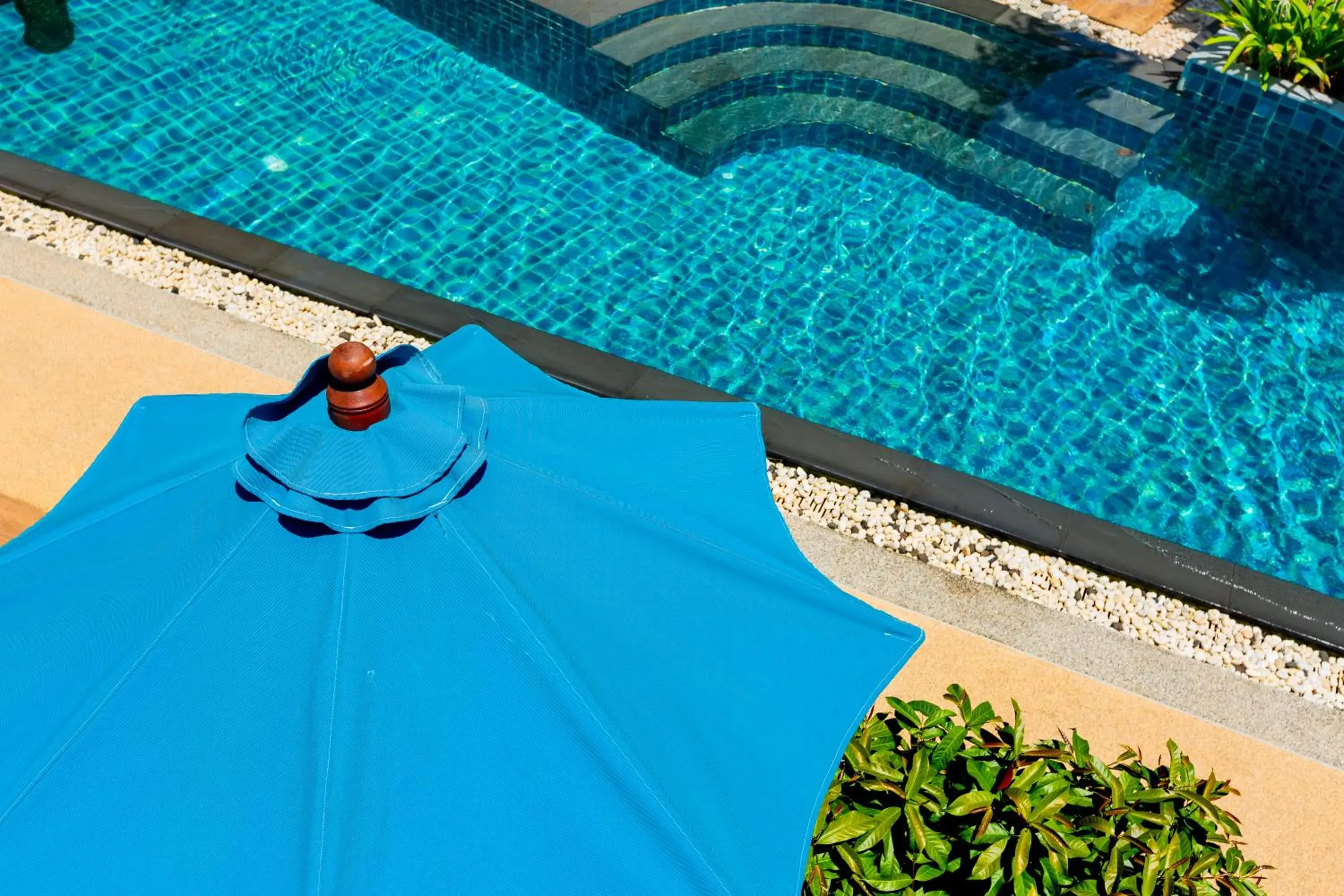 Swimming pool, Pool View in Buri Tara Resort - SHA Extra Plus