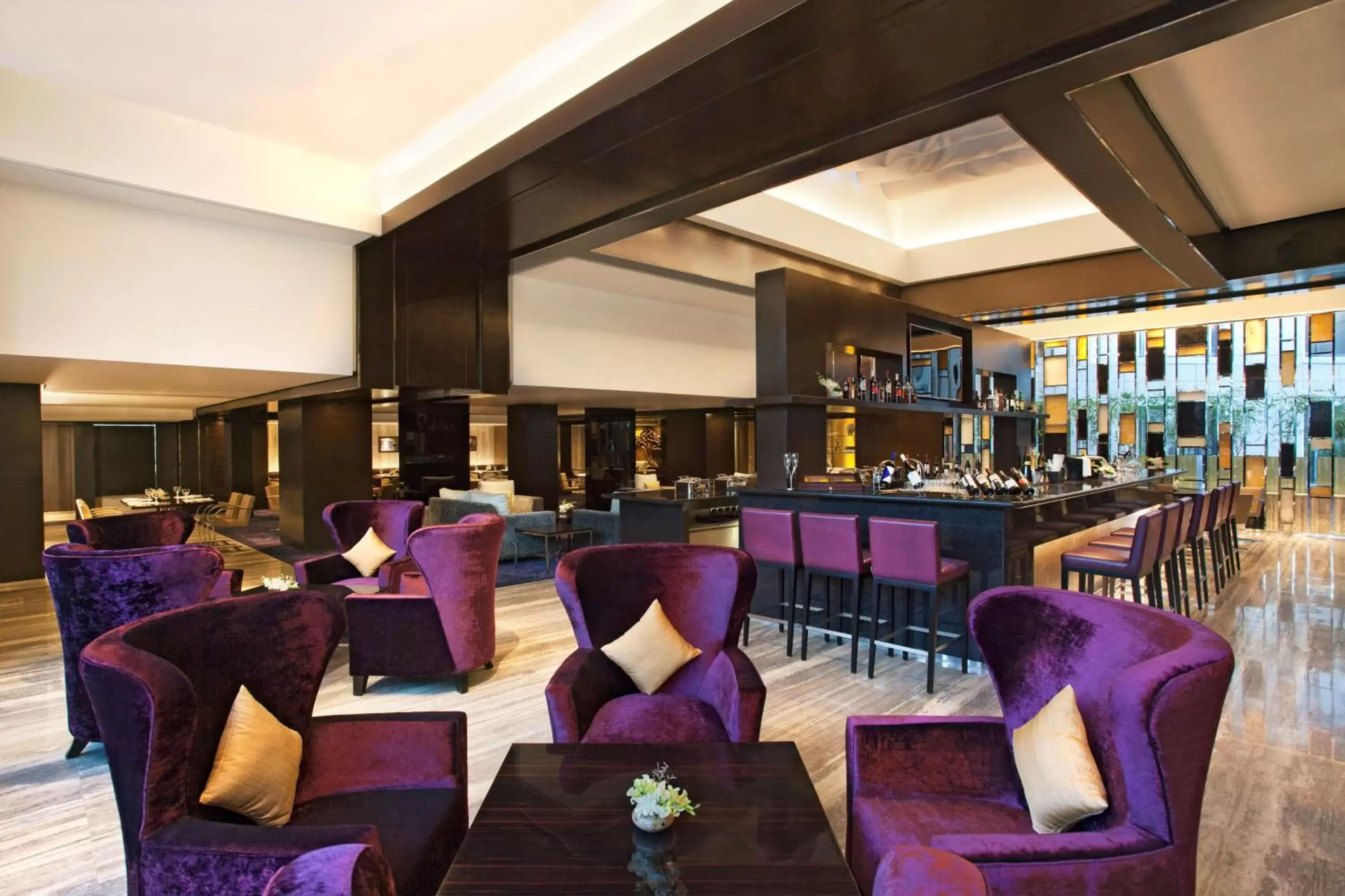 Lounge or bar, Restaurant/Places to Eat in Radisson Blu Plaza Delhi Airport