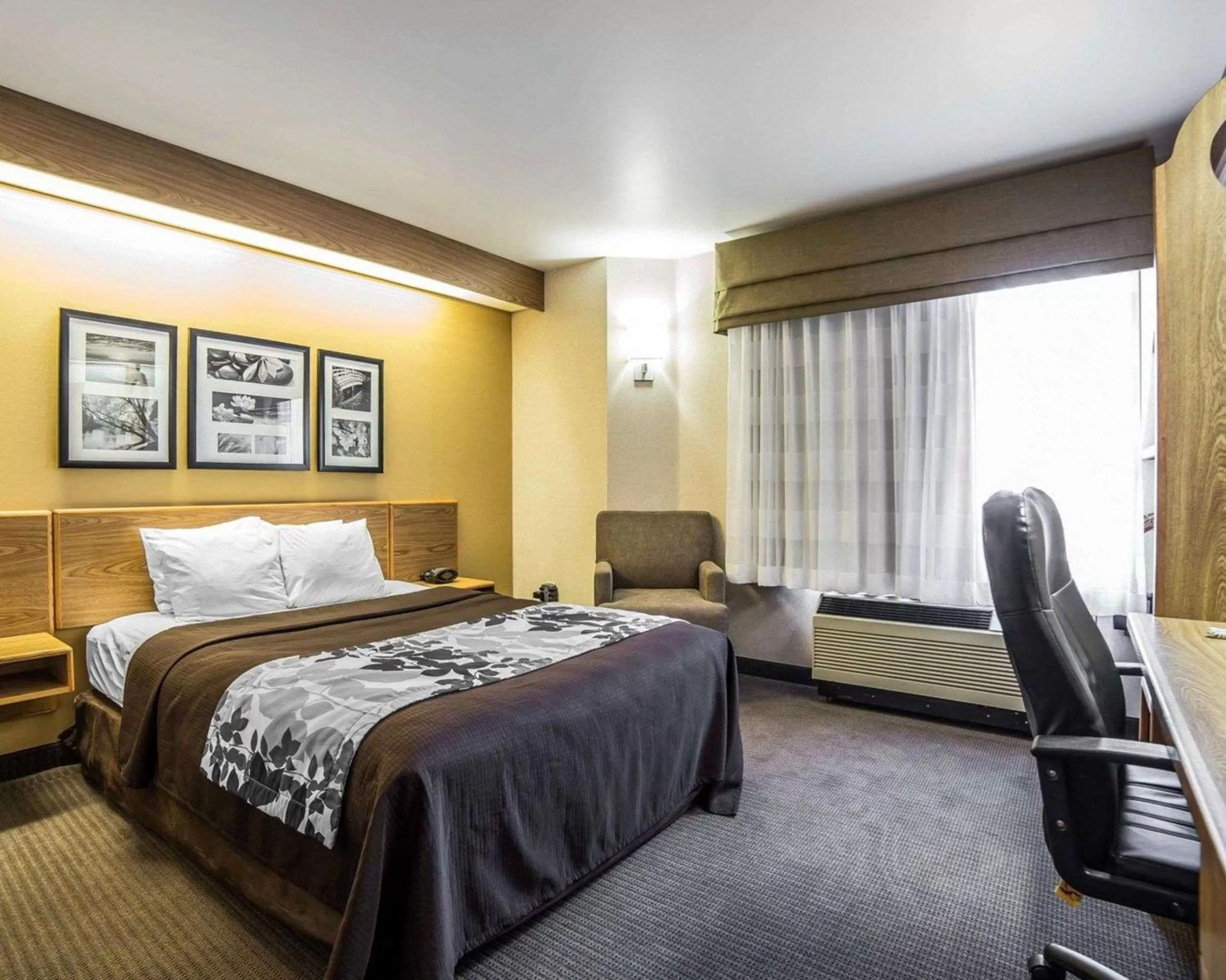 Photo of the whole room, Bed in Quality Inn Moab Slickrock Area