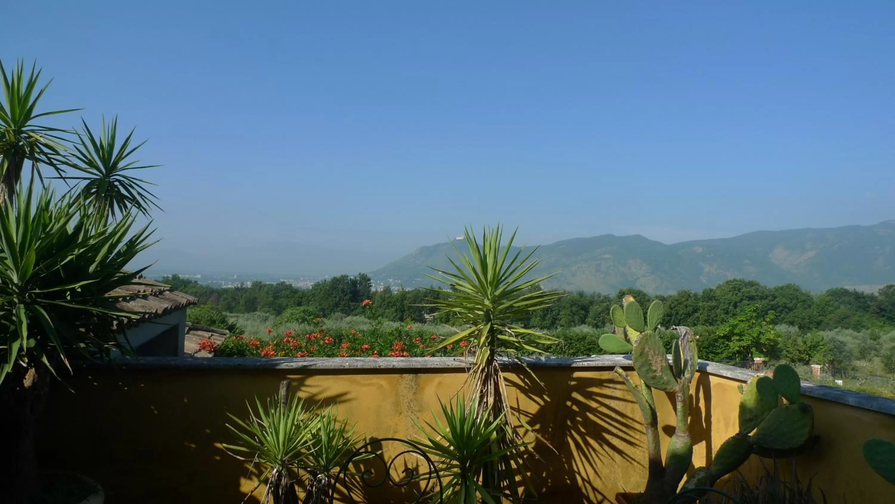 Mountain View in Le Ninfee