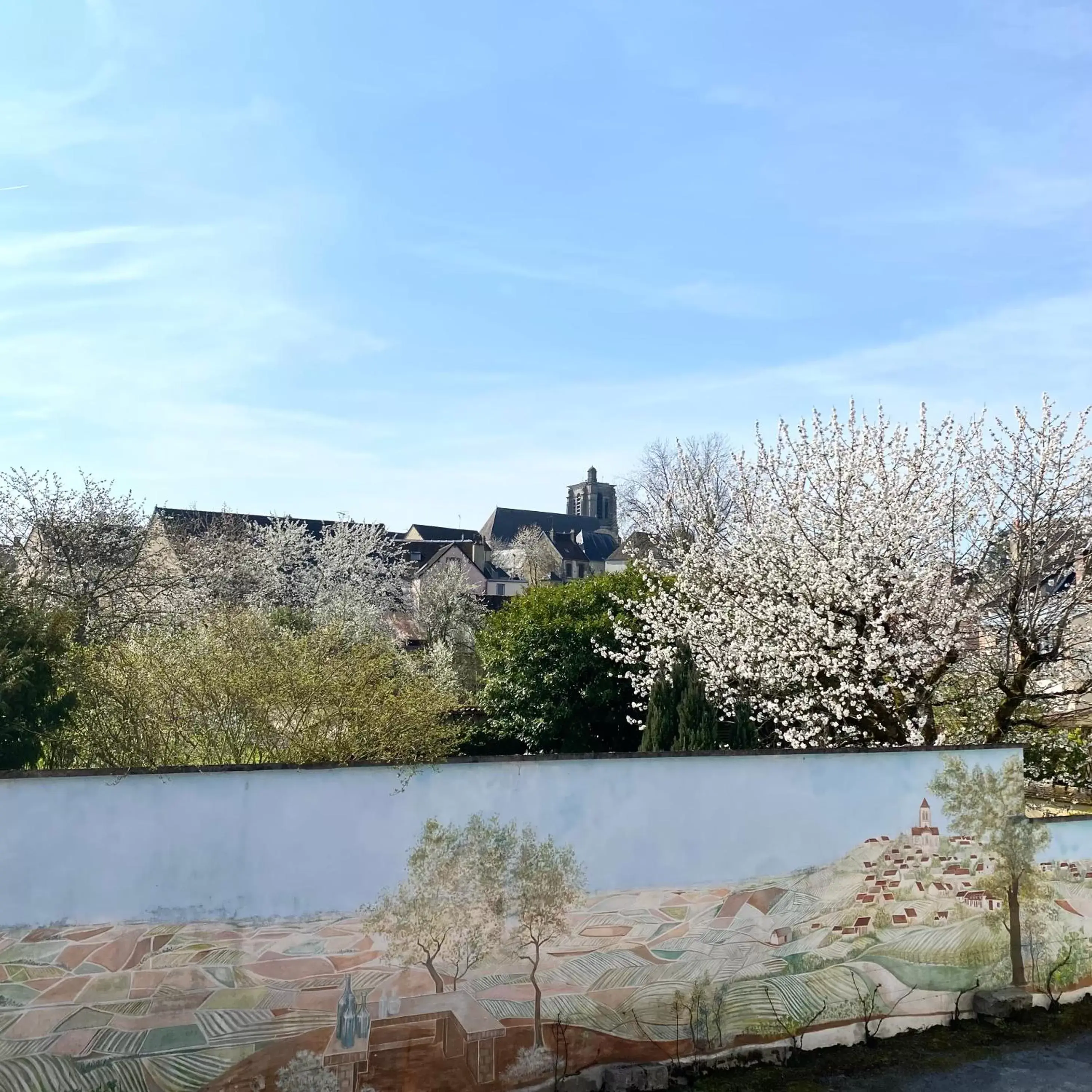 Spring in Domaine du Cellier de la Couronne