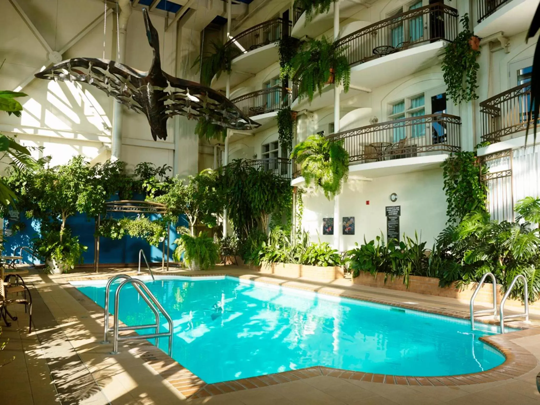 Swimming Pool in Hotel L'Oie des neiges