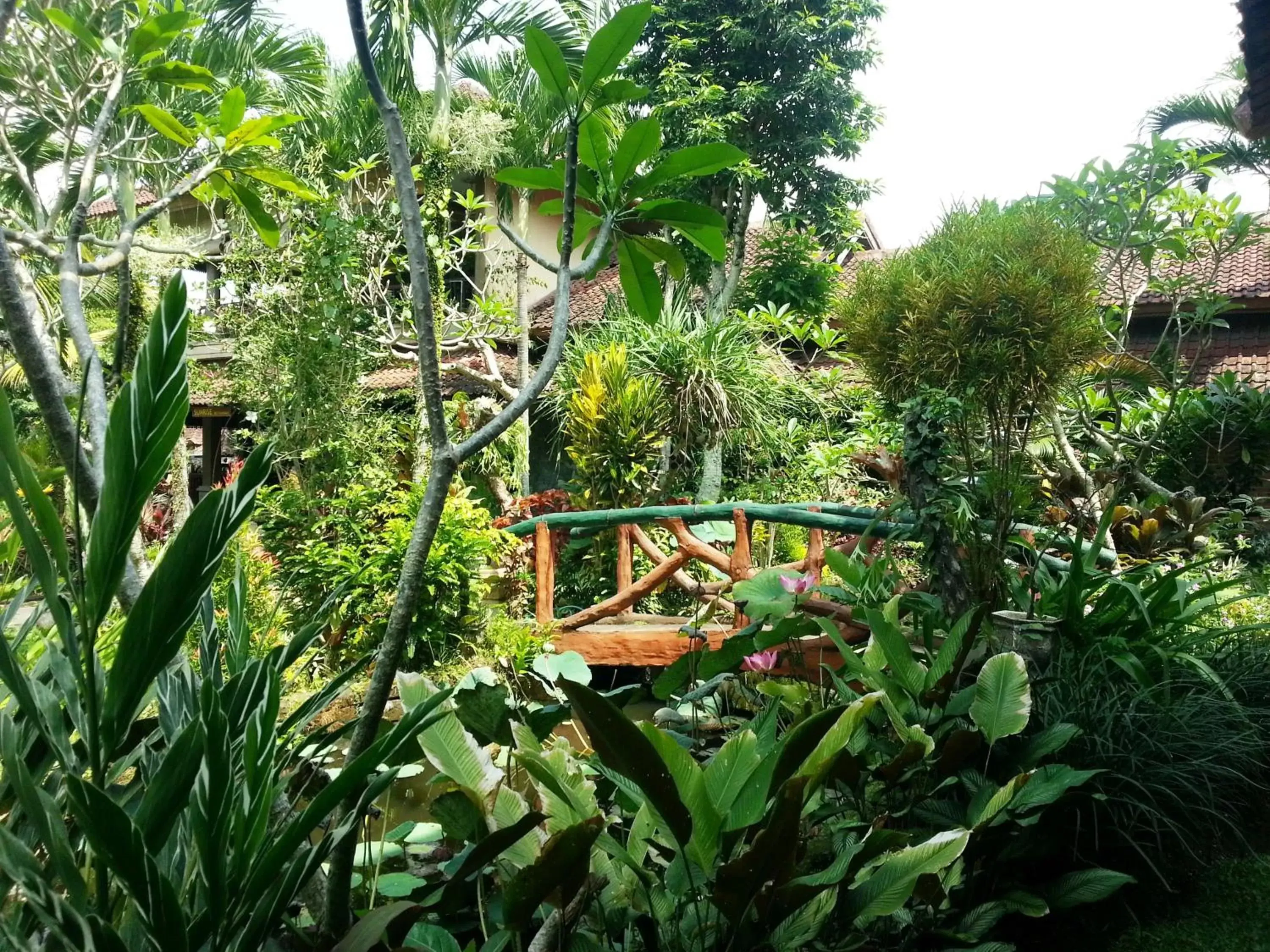 Garden view in Cendana Resort & Spa by Mahaputra Garden view in Cendana Resort & Spa by Mahaputra