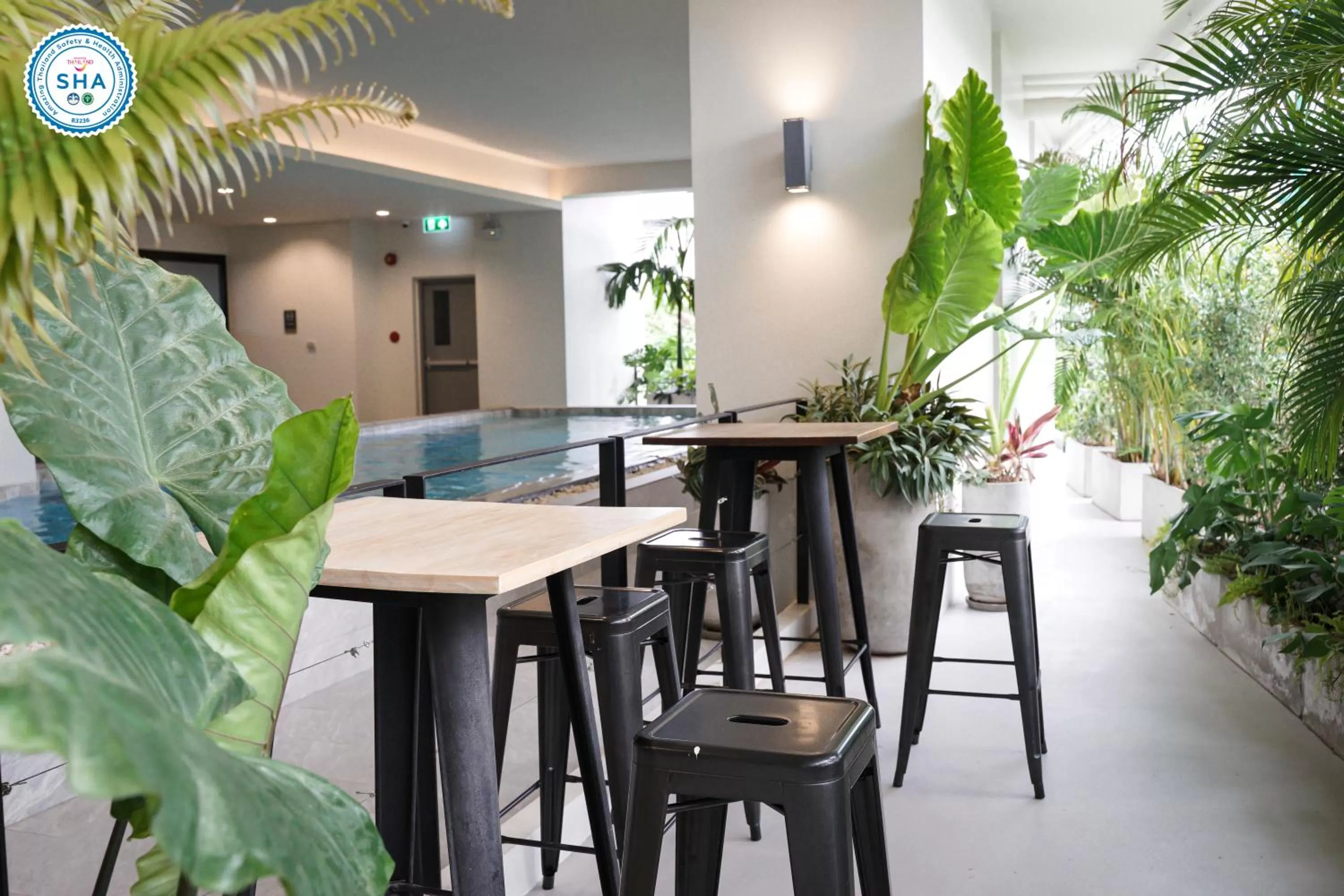 Garden in The Rise Suites Hotel, Chiang Mai - SHA Extra Plus