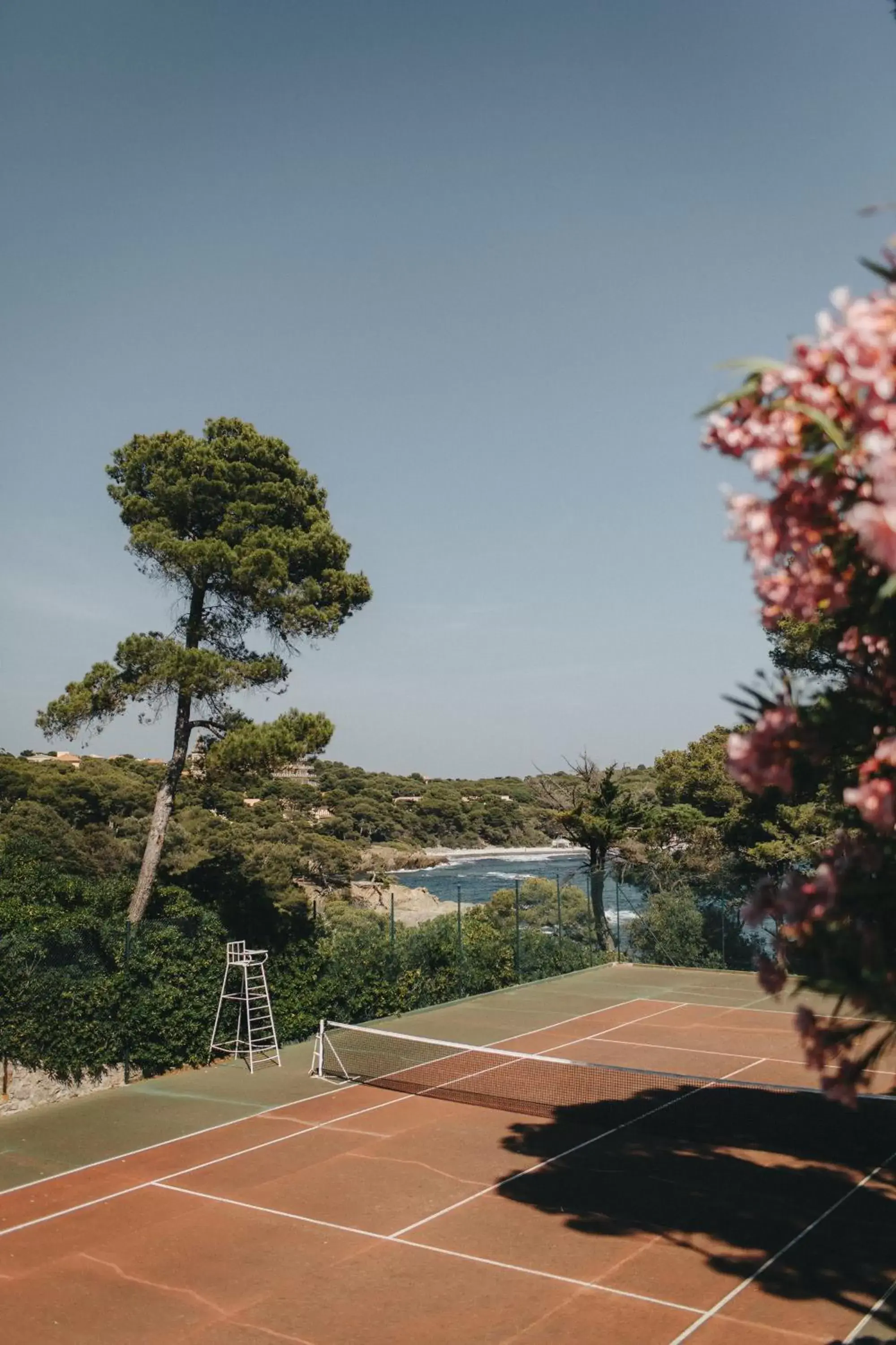 Garden in Hotel Provençal