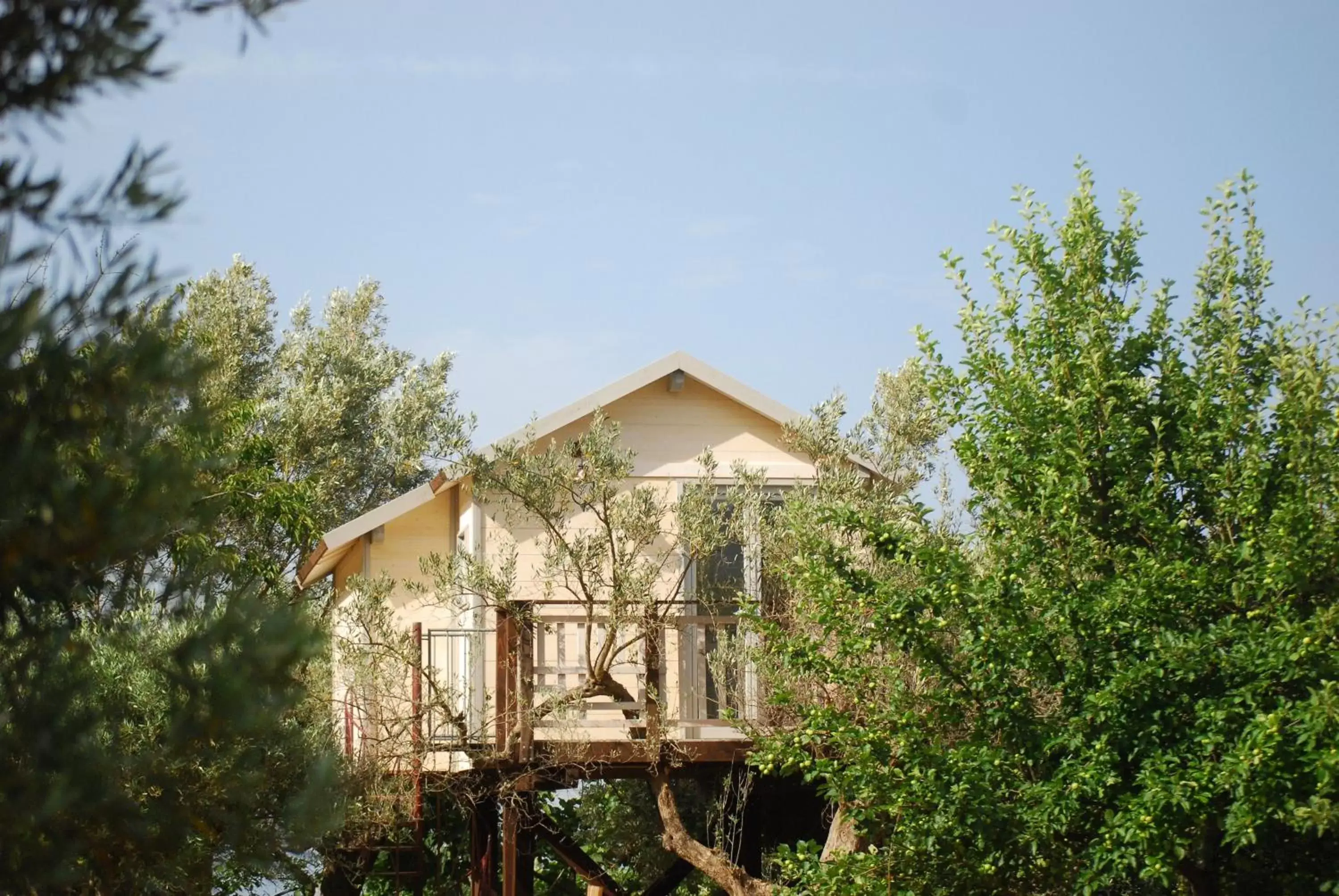 Property Building in Palazzo Conforti Tree House Resort