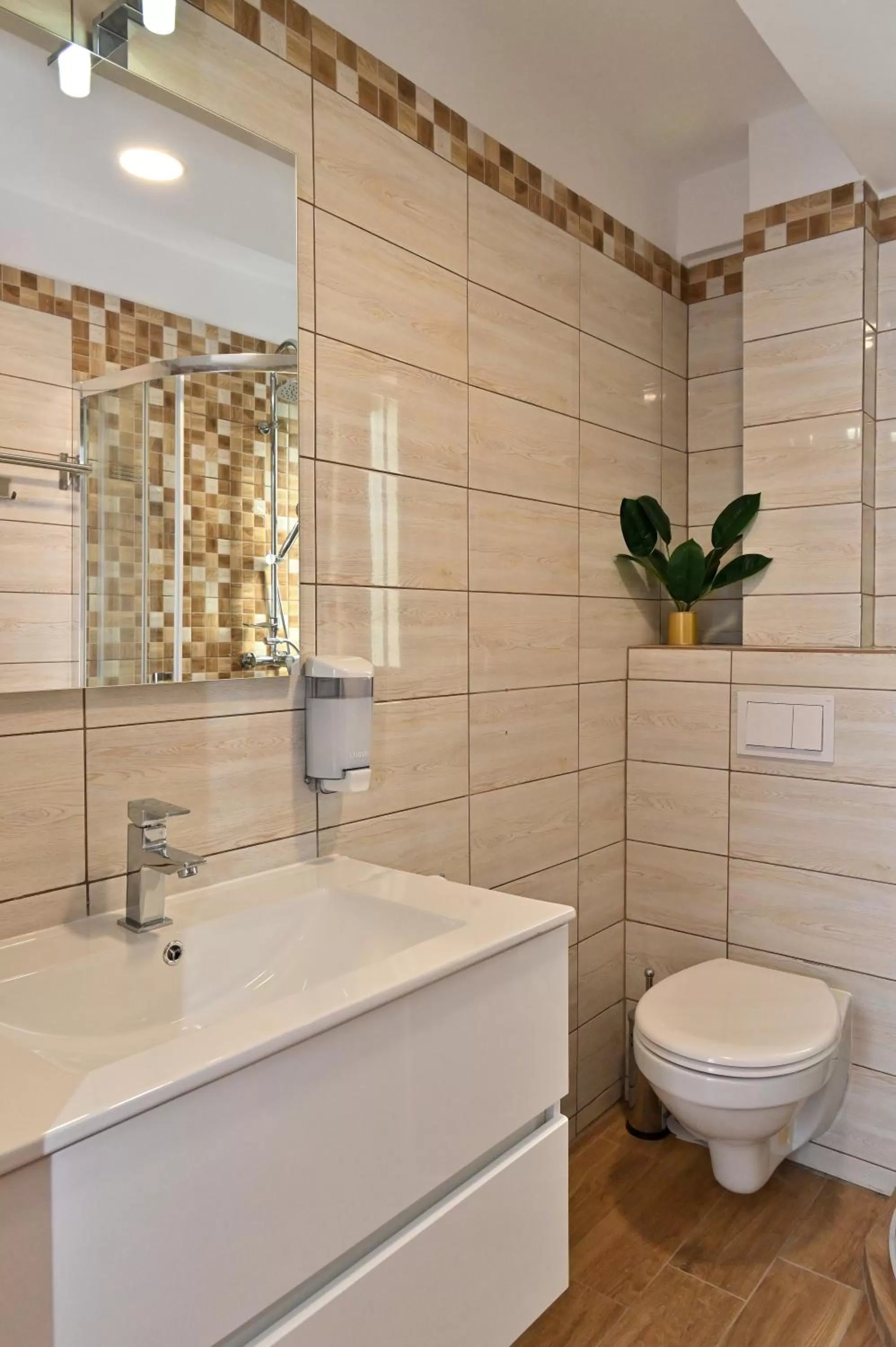 Shower in Durau Residence