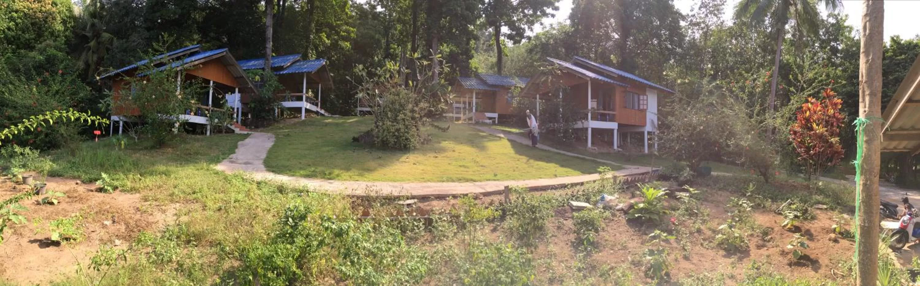 Property building in Elephant & Castle