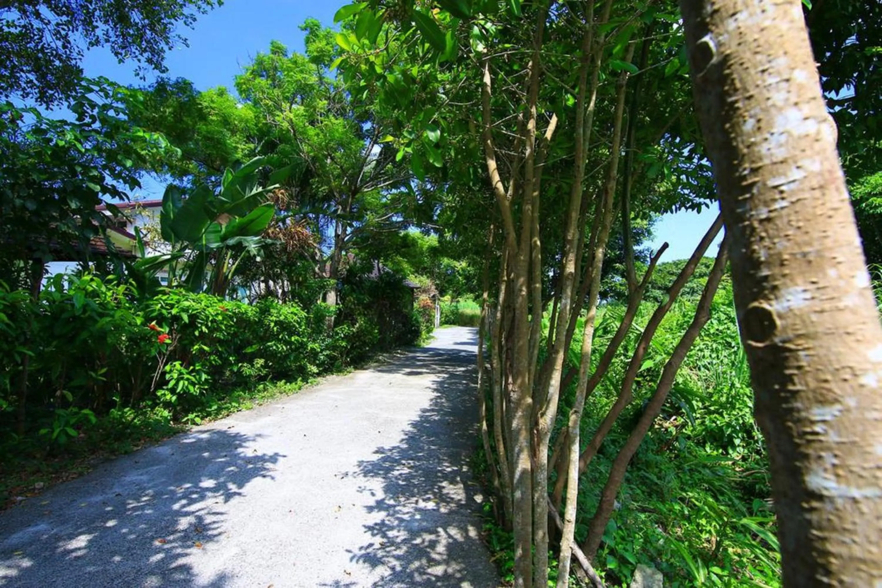 Natural landscape in Dream Home B&B