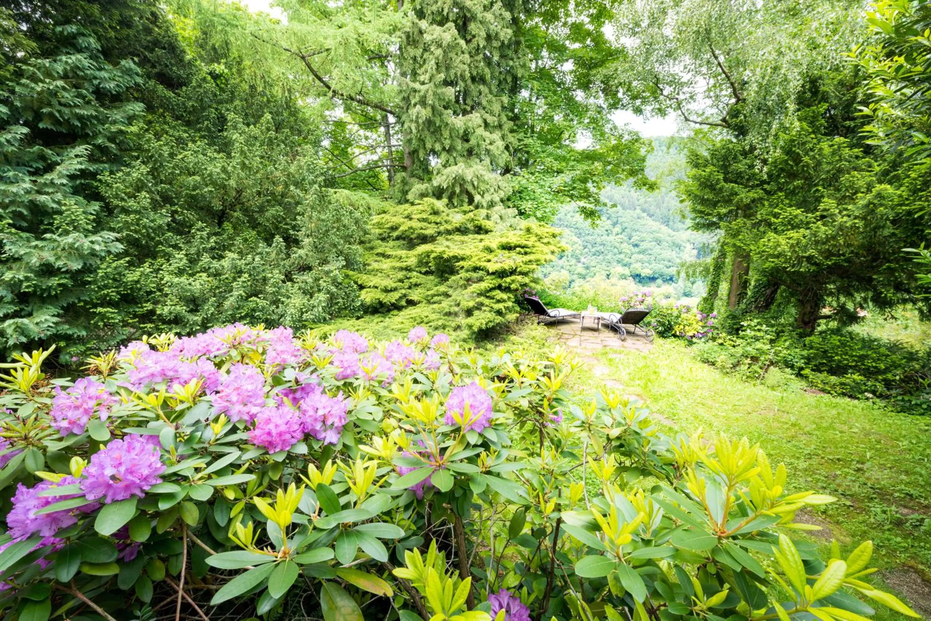 Garden in Parkhotel Atlantic