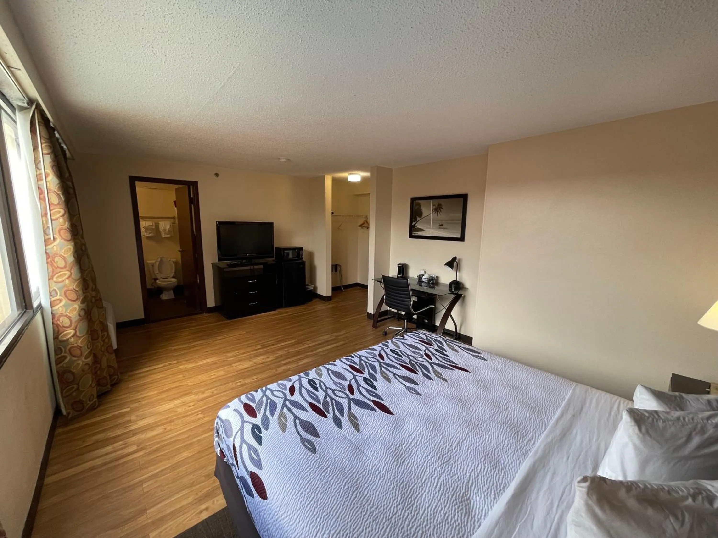 Photo of the whole room in Tropical Palms Hotel