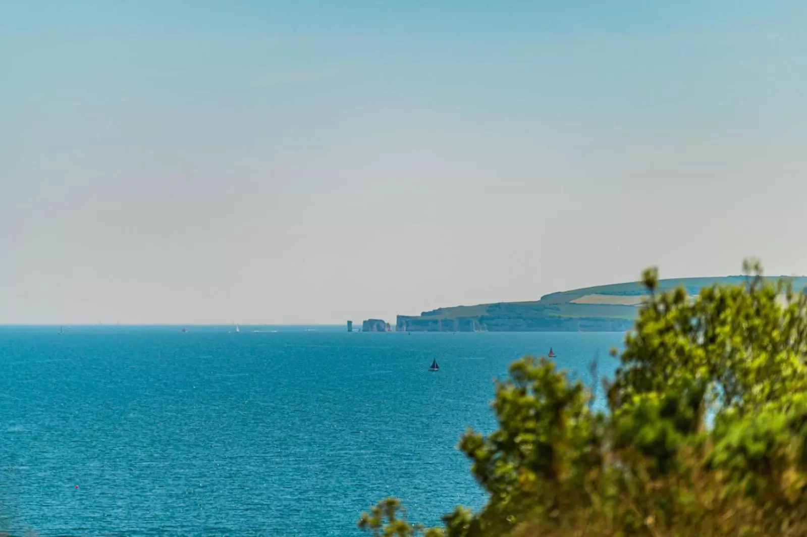 Natural landscape in Brooklands