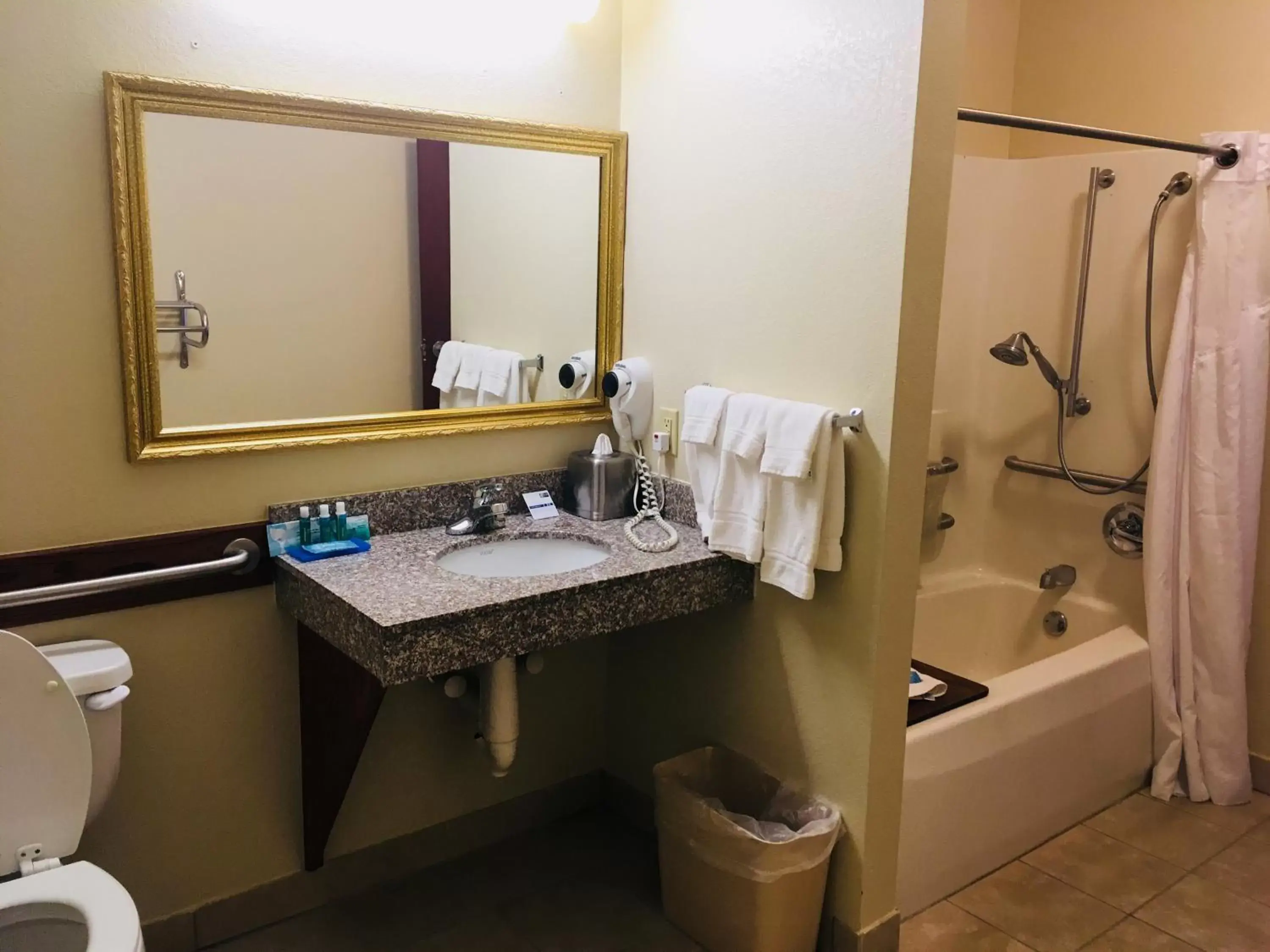 Bathroom in Holiday Inn Express Hotel & Suites Cadillac, an IHG Hotel