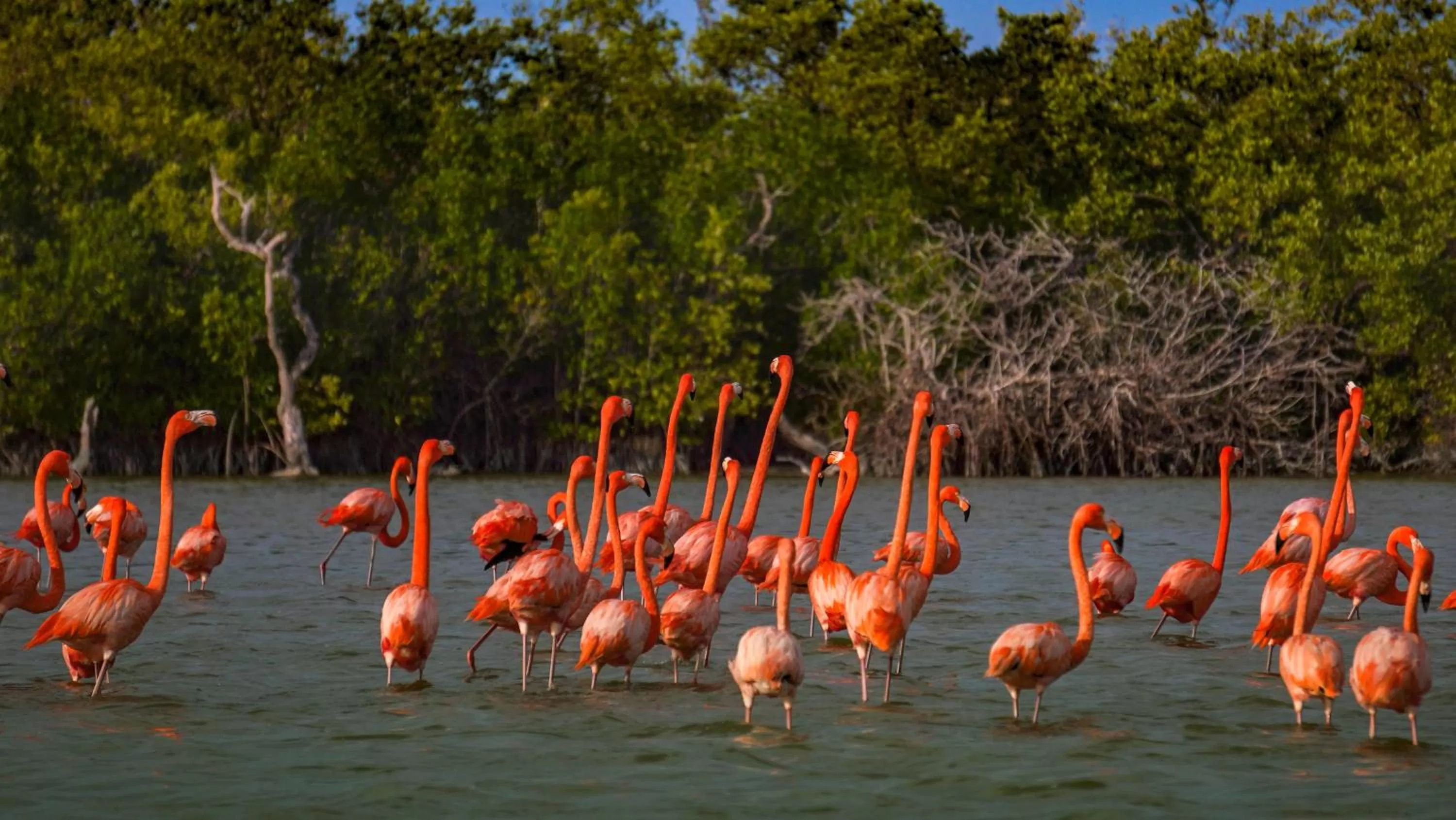 Off site in Hotel Rio Lagartos