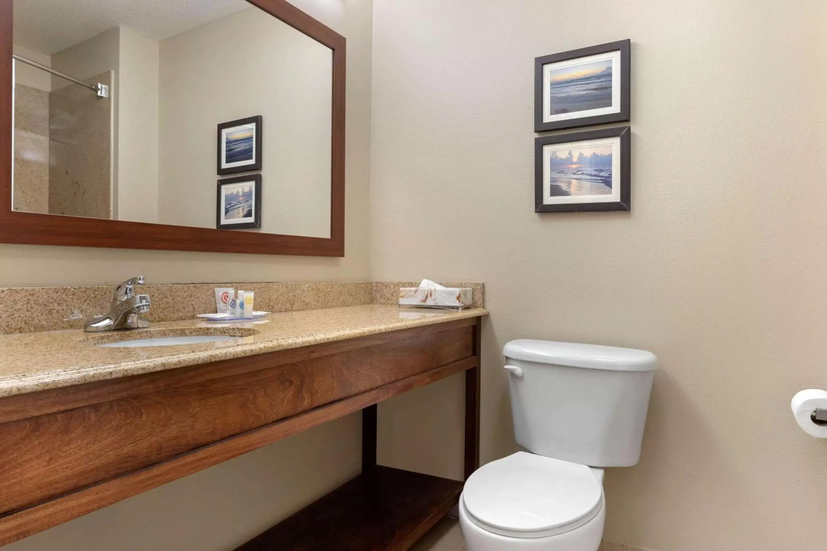 Photo of the whole room, Bathroom in Comfort Inn & Suites Port Arthur-Port Neches