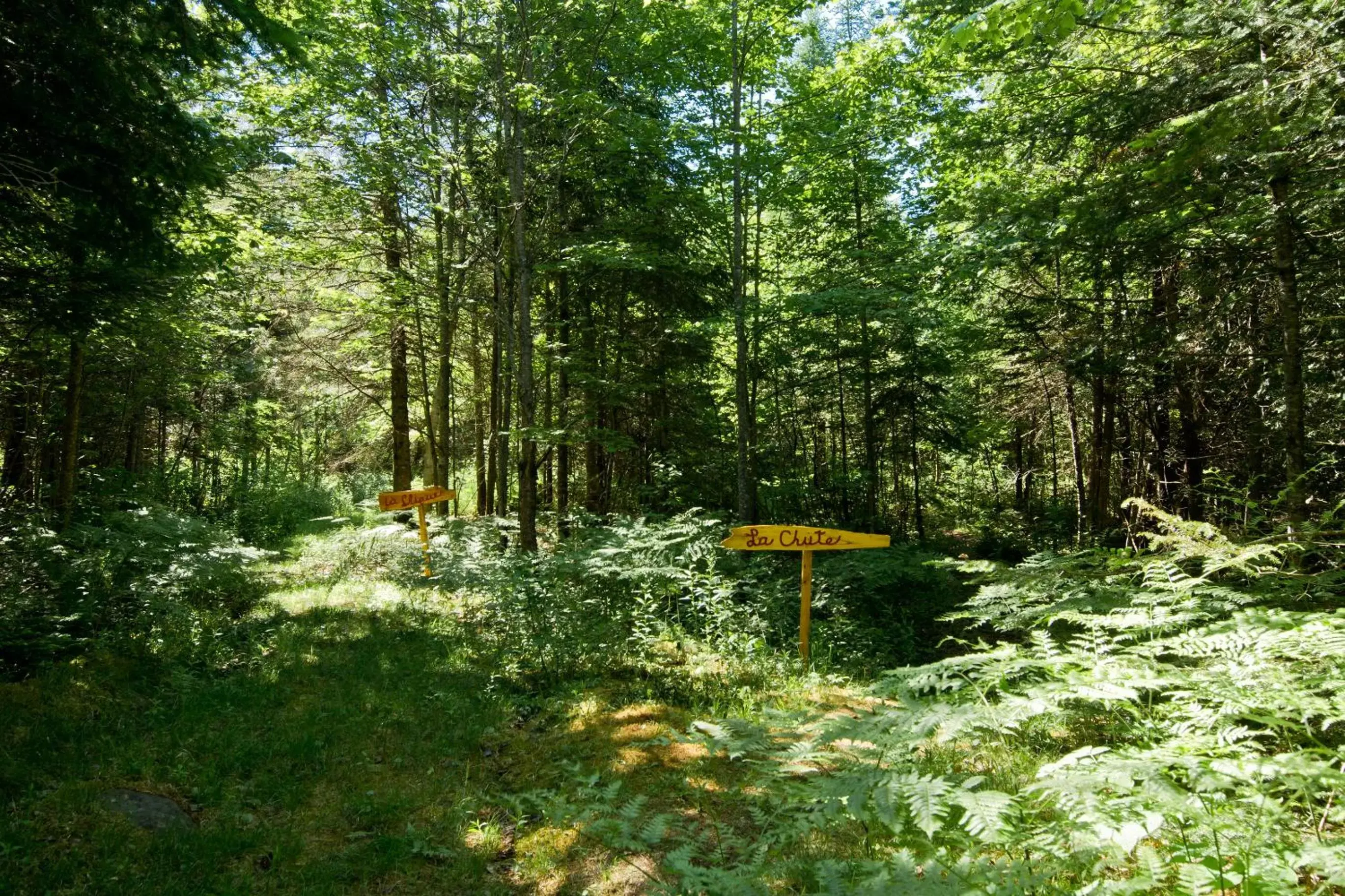 Garden in Camping Chalets Spas Pignons Rouges