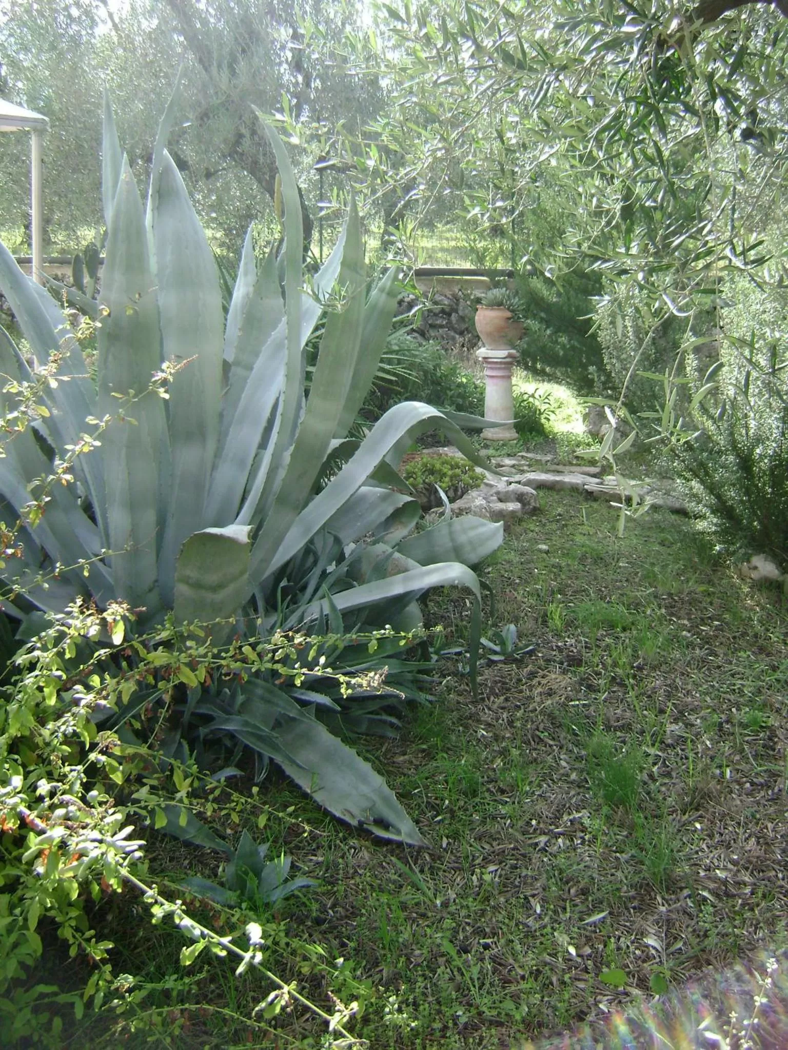 Garden in B&B Villa Mediterranea with parking space