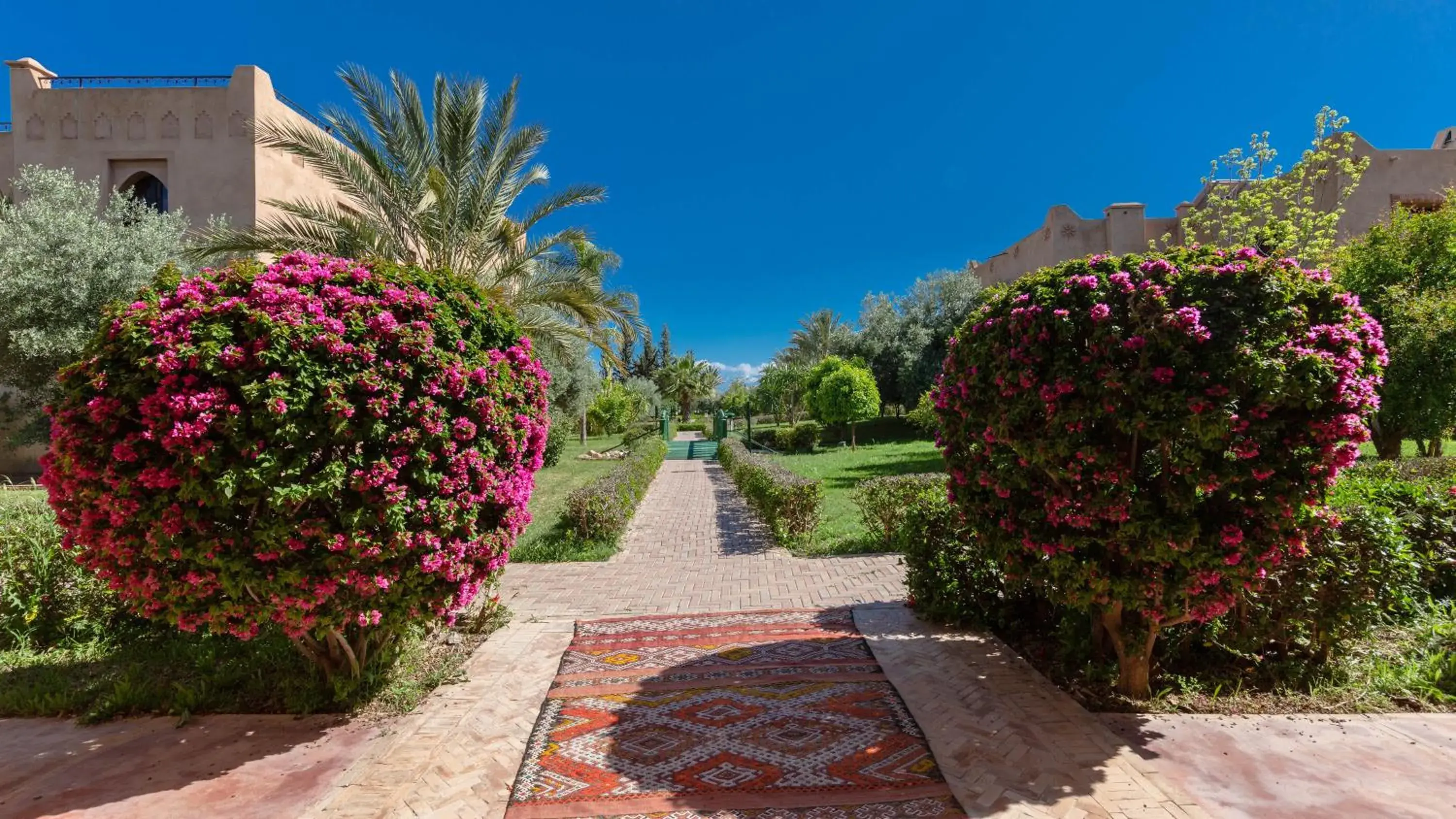 Garden view, Garden in L'OLIVERAIE DE L'ATLAS