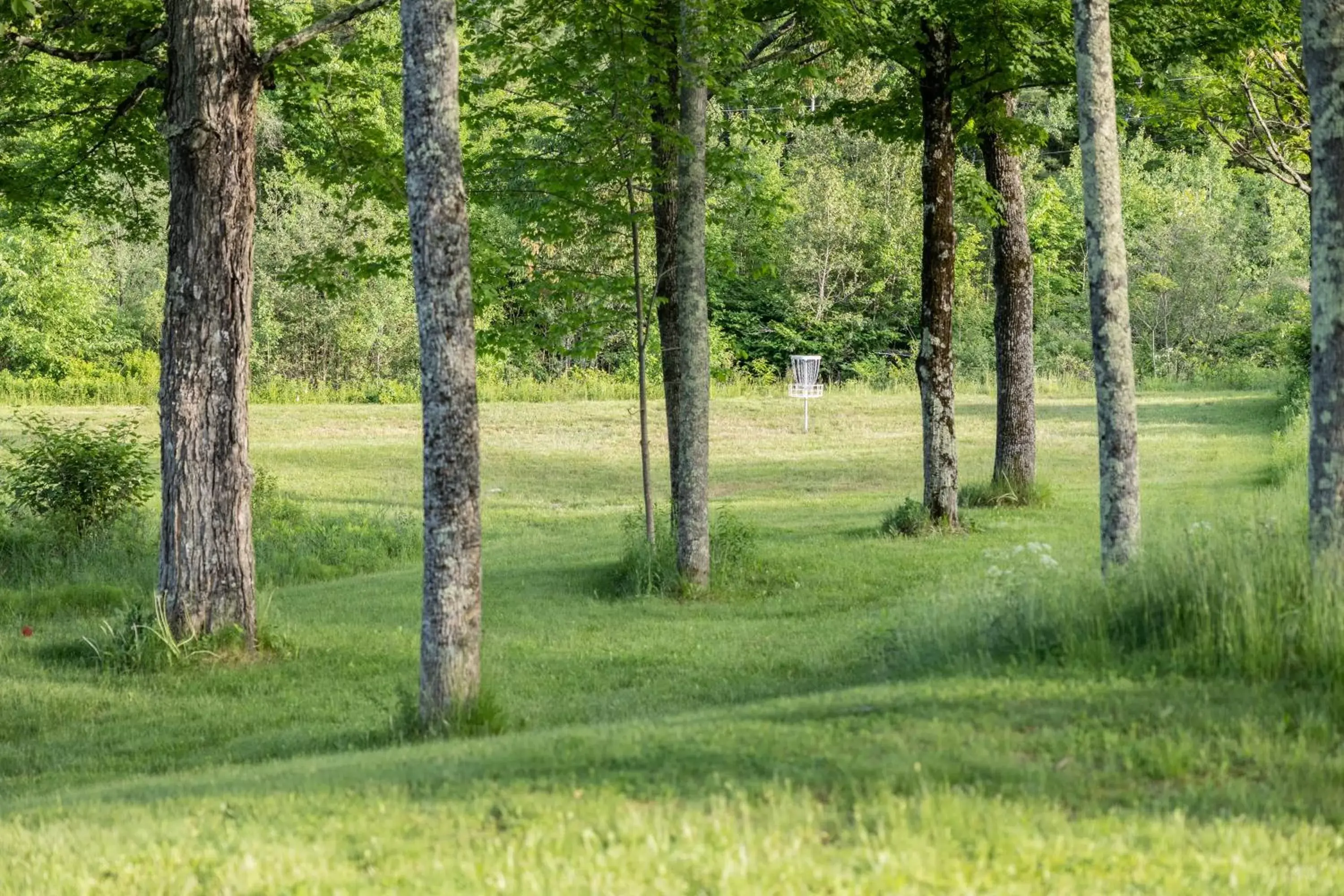 Natural landscape in Clear River Inn and Tavern