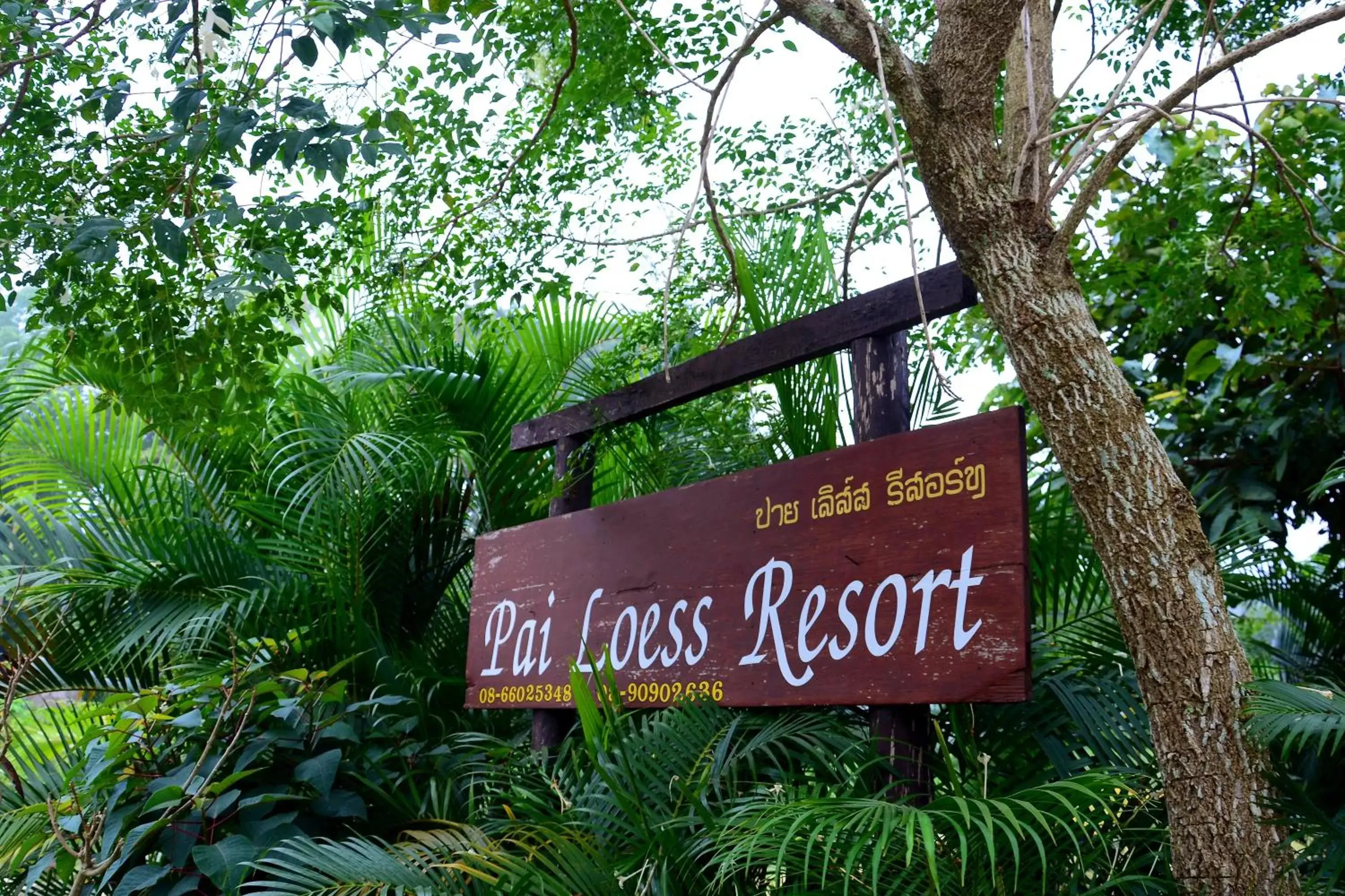 Facade/entrance in Pai Loess Resort