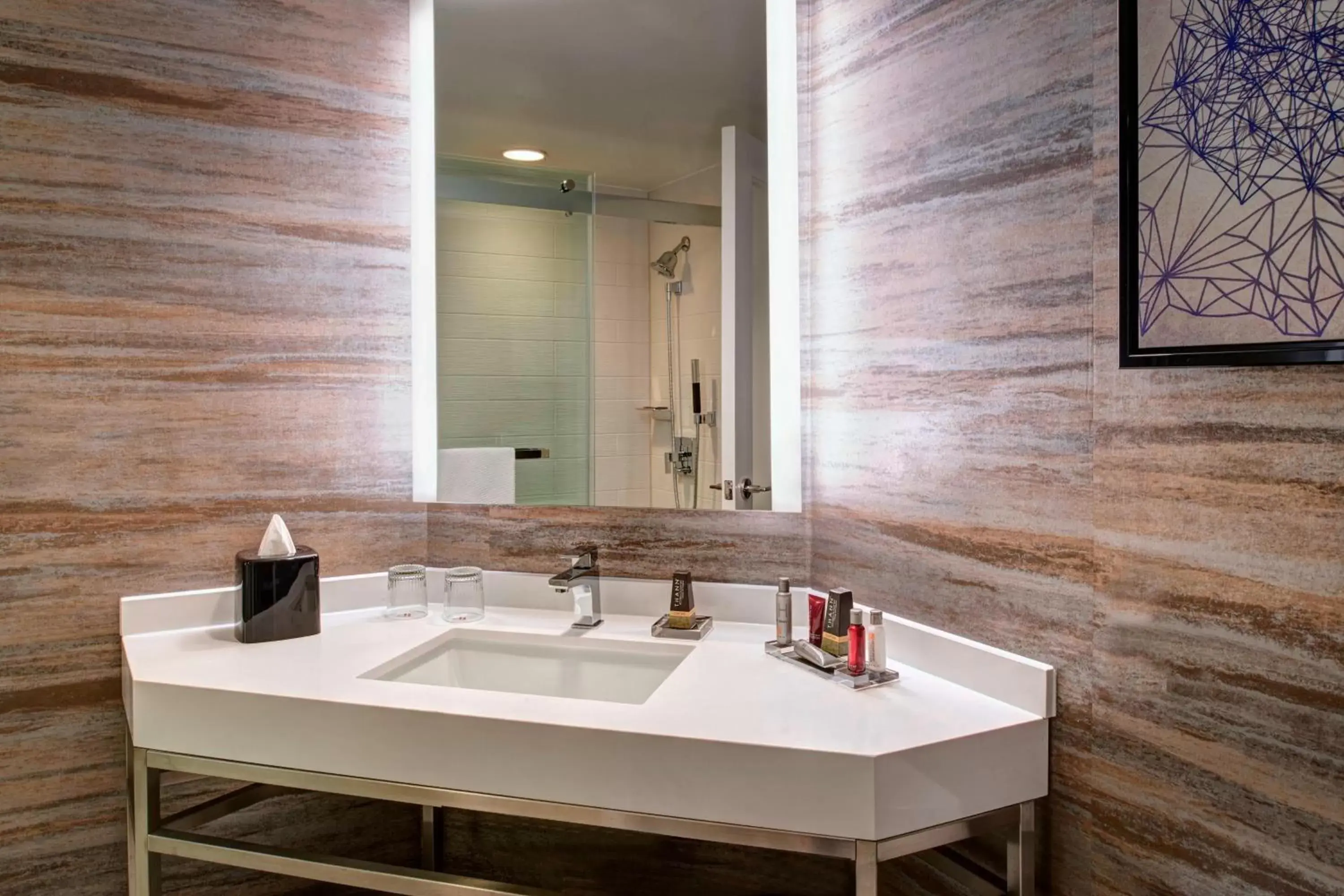 Bathroom in Auburn Hills Marriott Pontiac